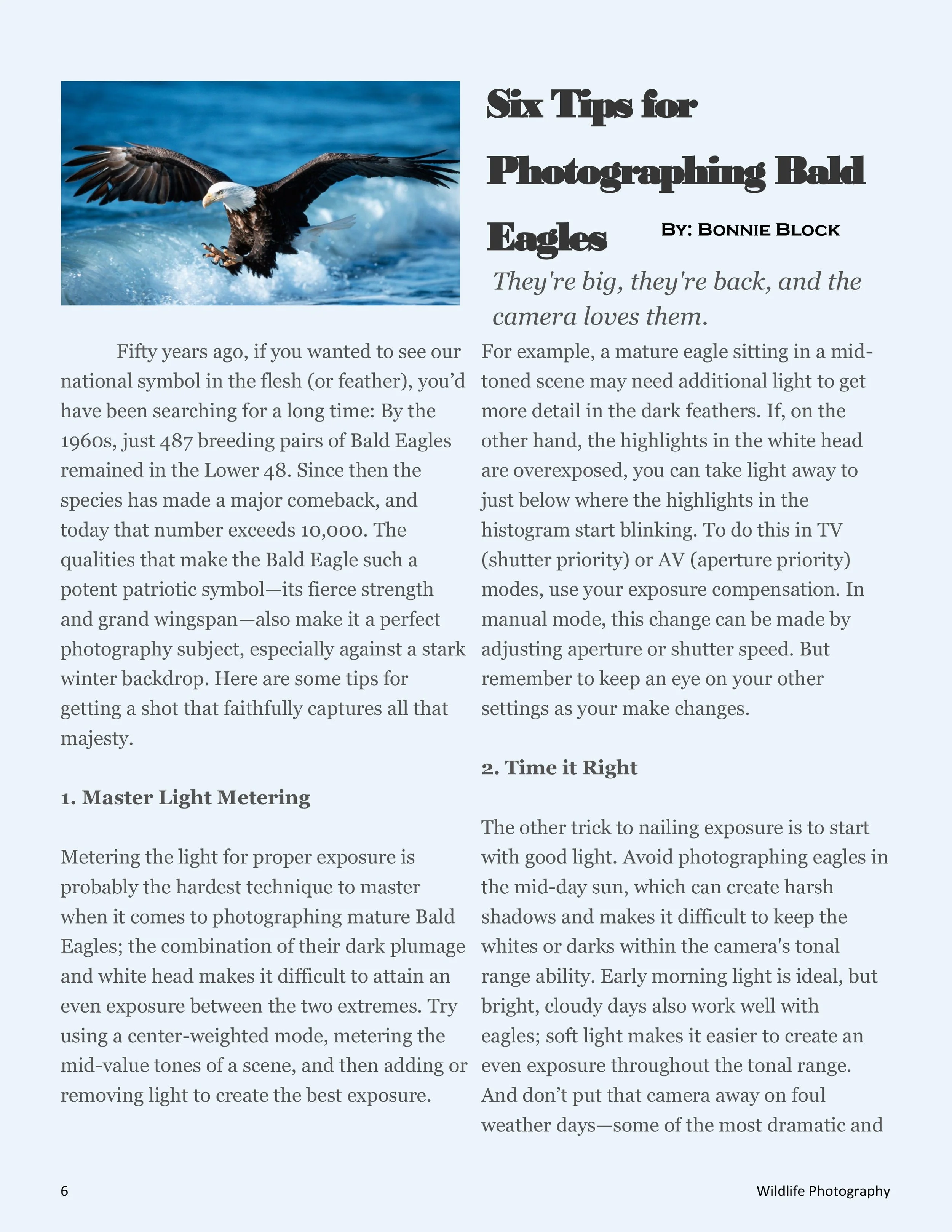 WildlifePhotographyMagazine3-6.jpg