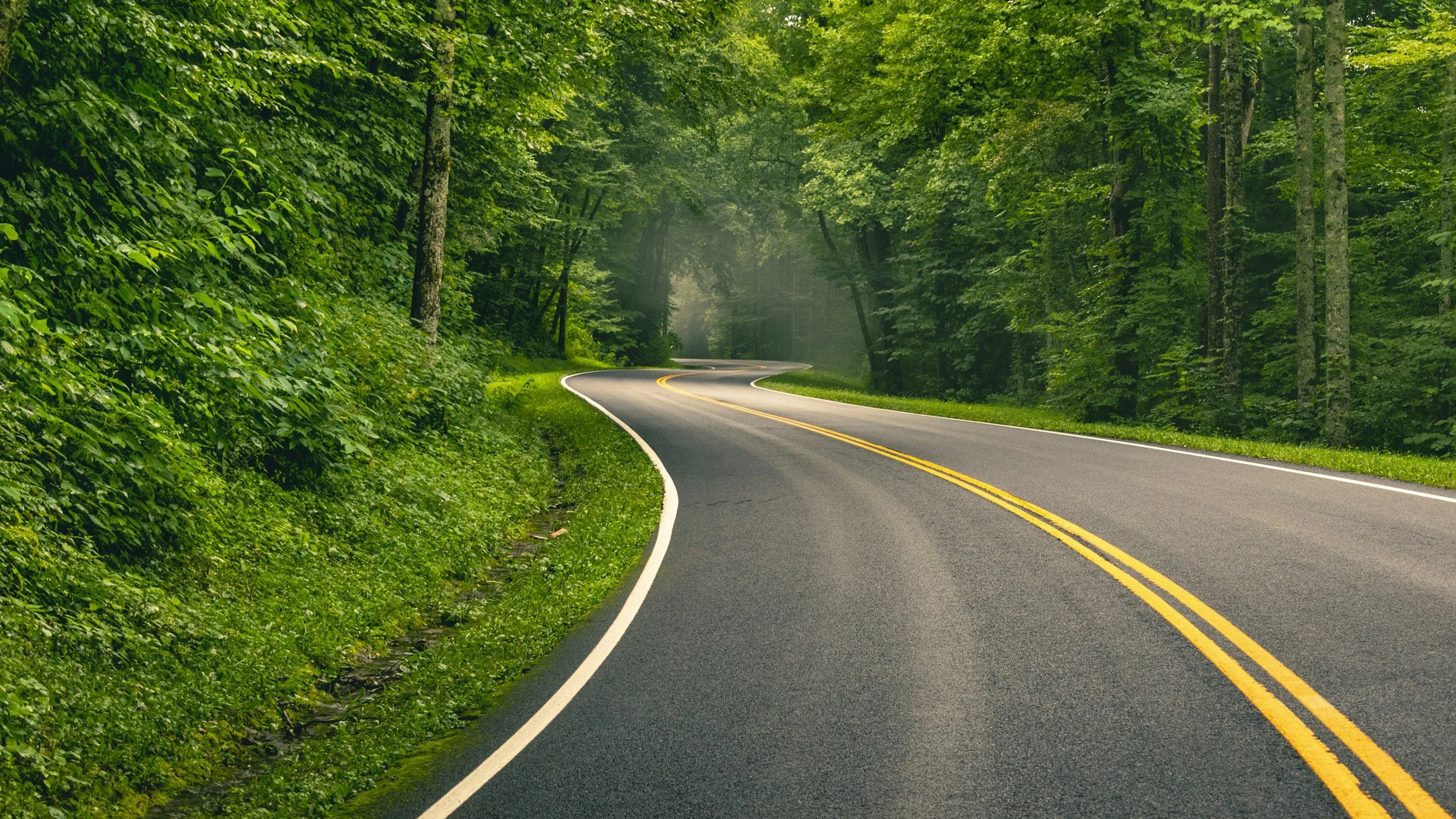 Road through the woods.