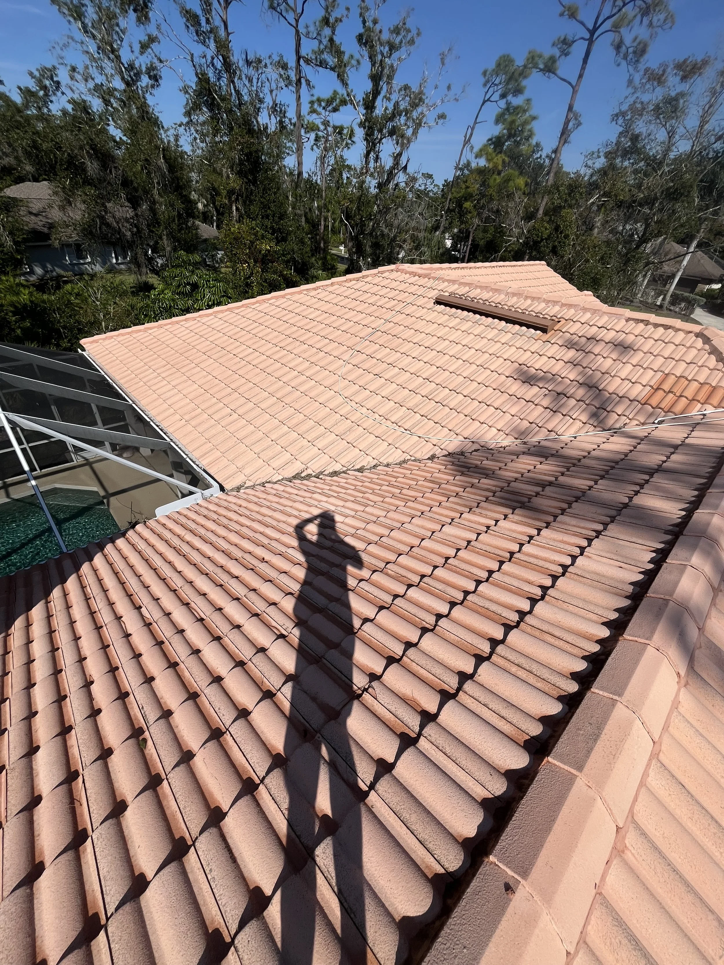 clean tile roof - before and after
