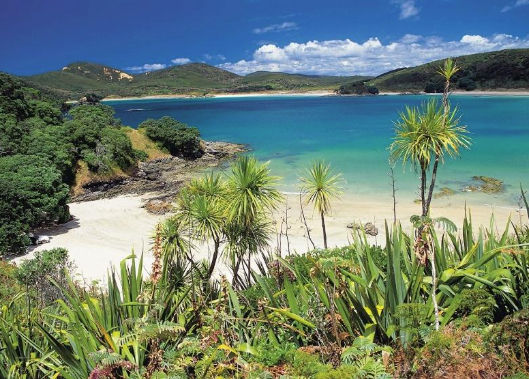 Wairua