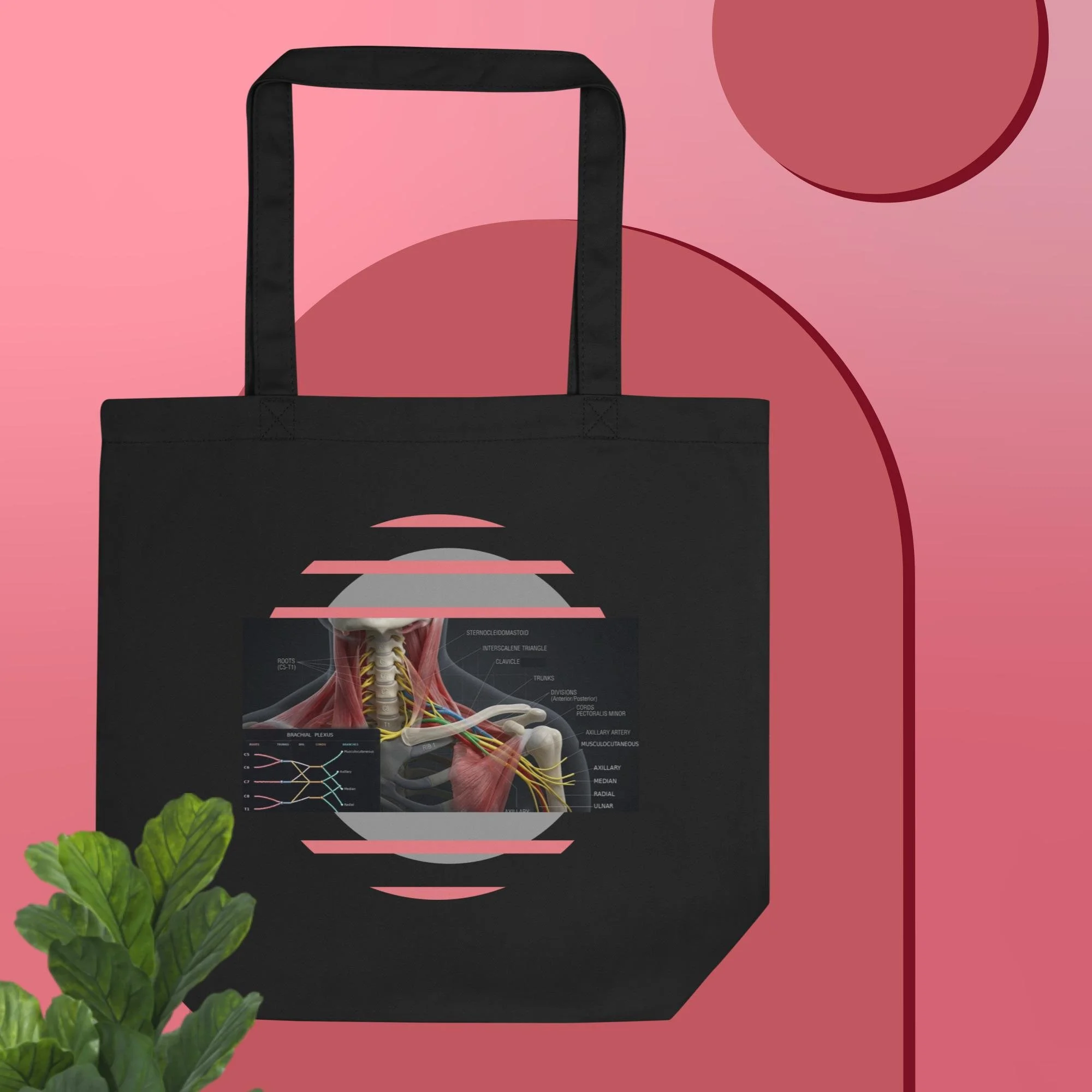 Brachial Plexus Eco Tote