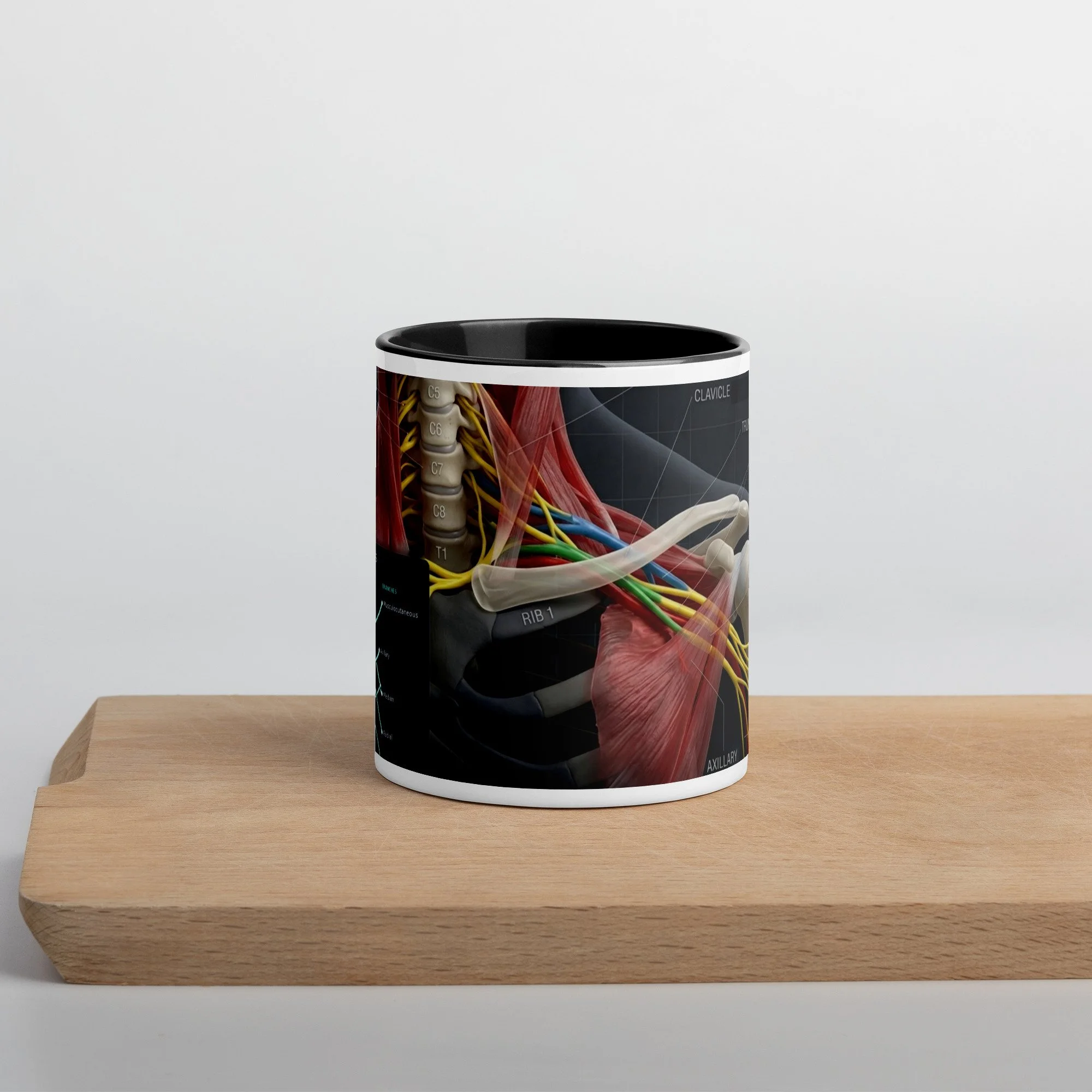 Brachial Plexus Mug