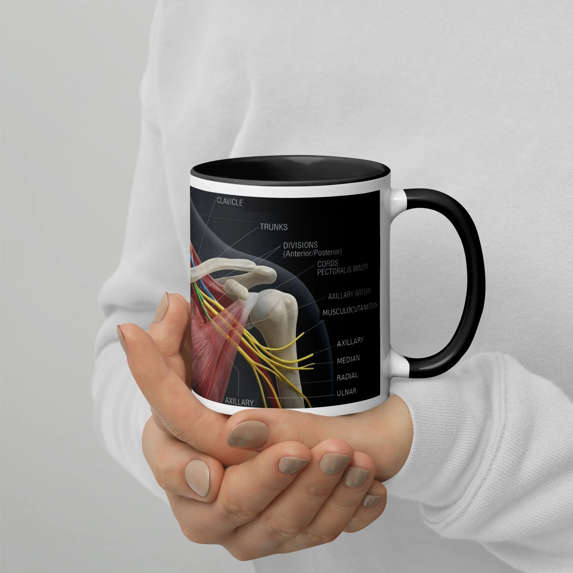 Brachial Plexus Mug