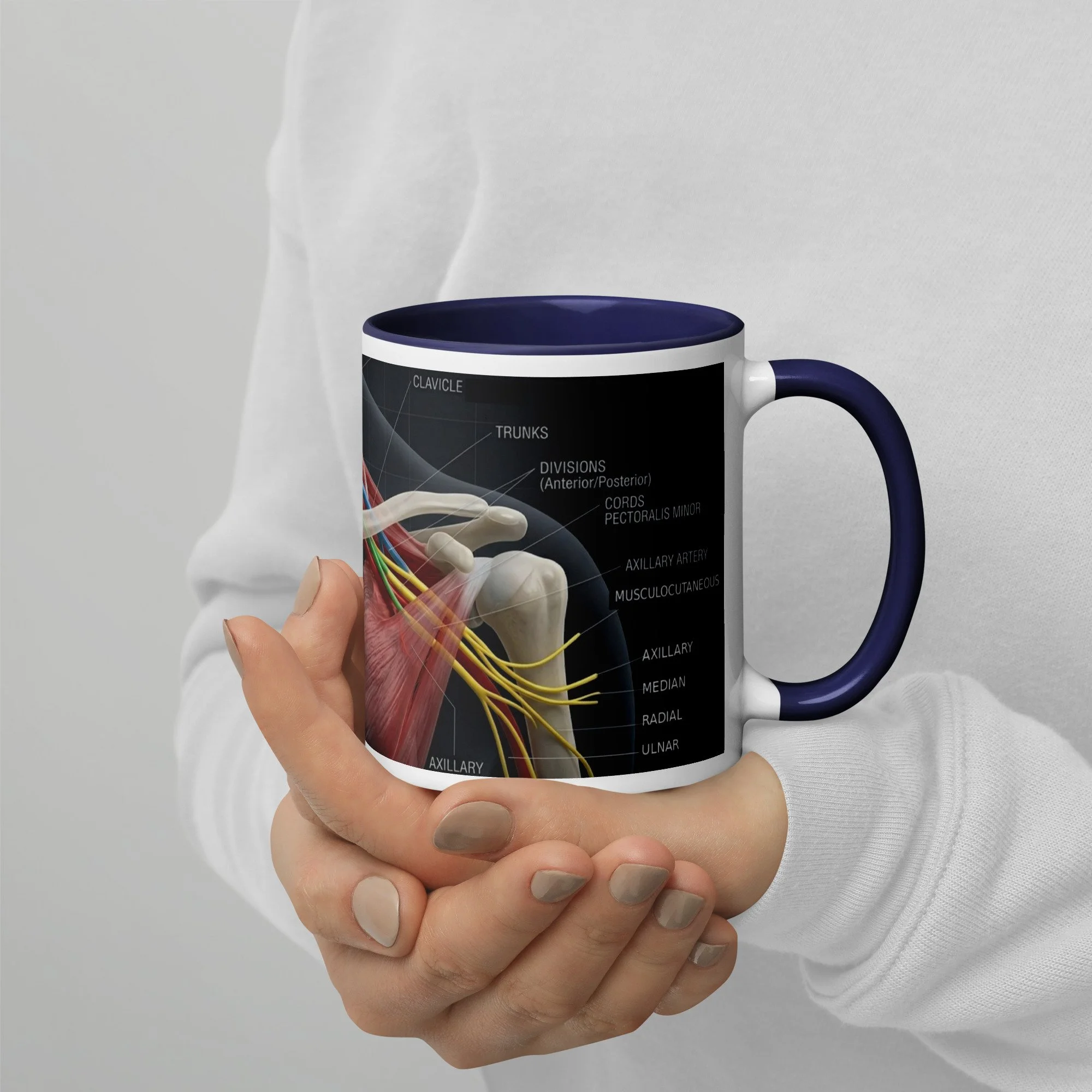 Brachial Plexus Mug