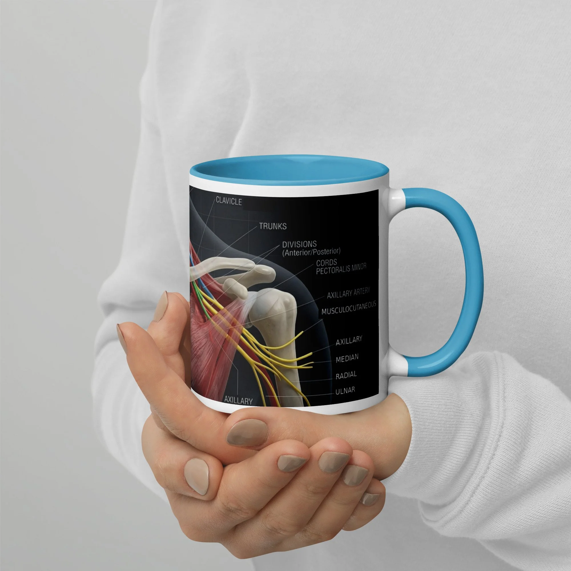 Brachial Plexus Mug
