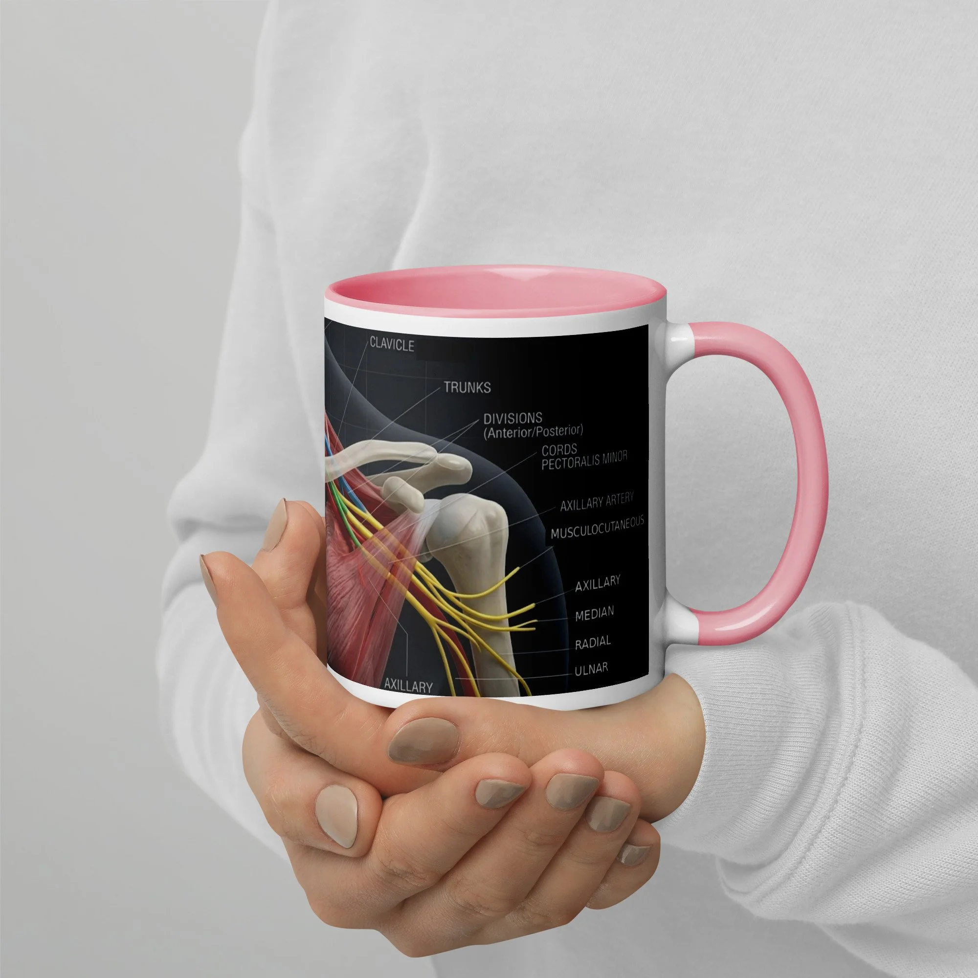 Brachial Plexus Mug