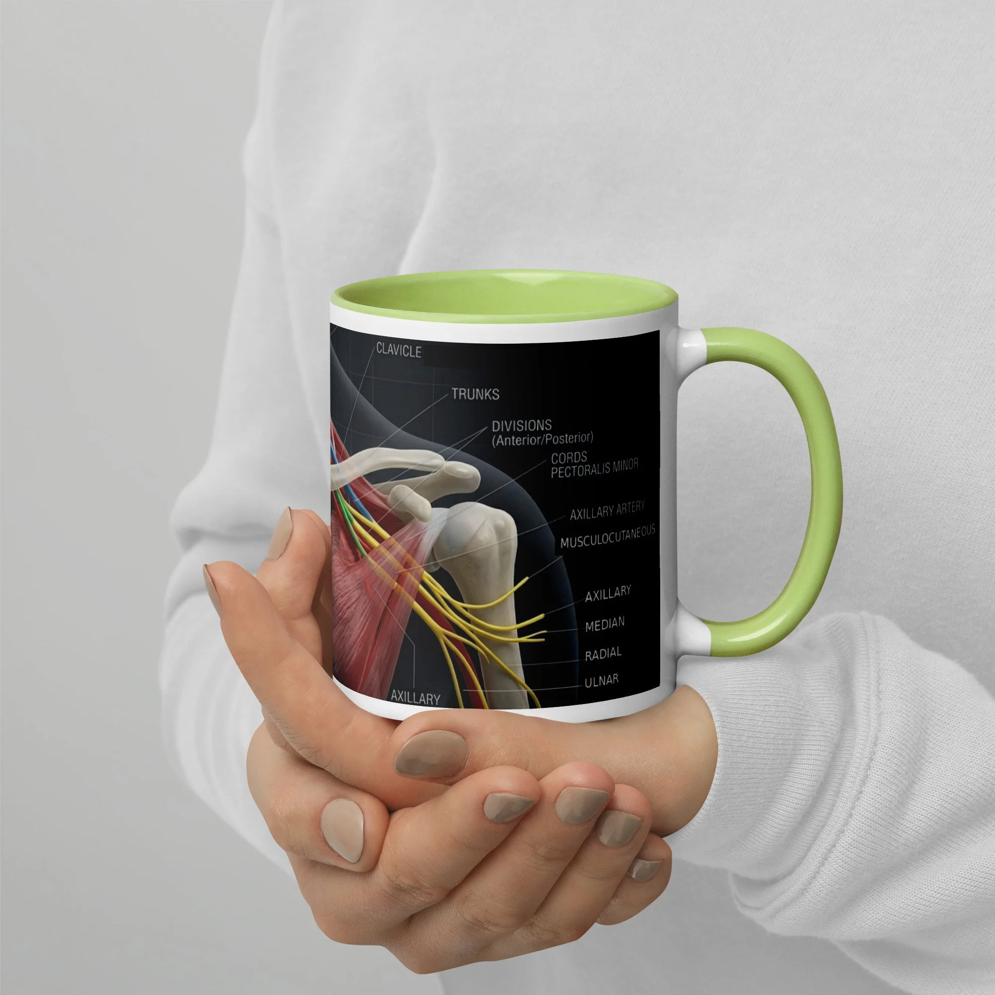 Brachial Plexus Mug