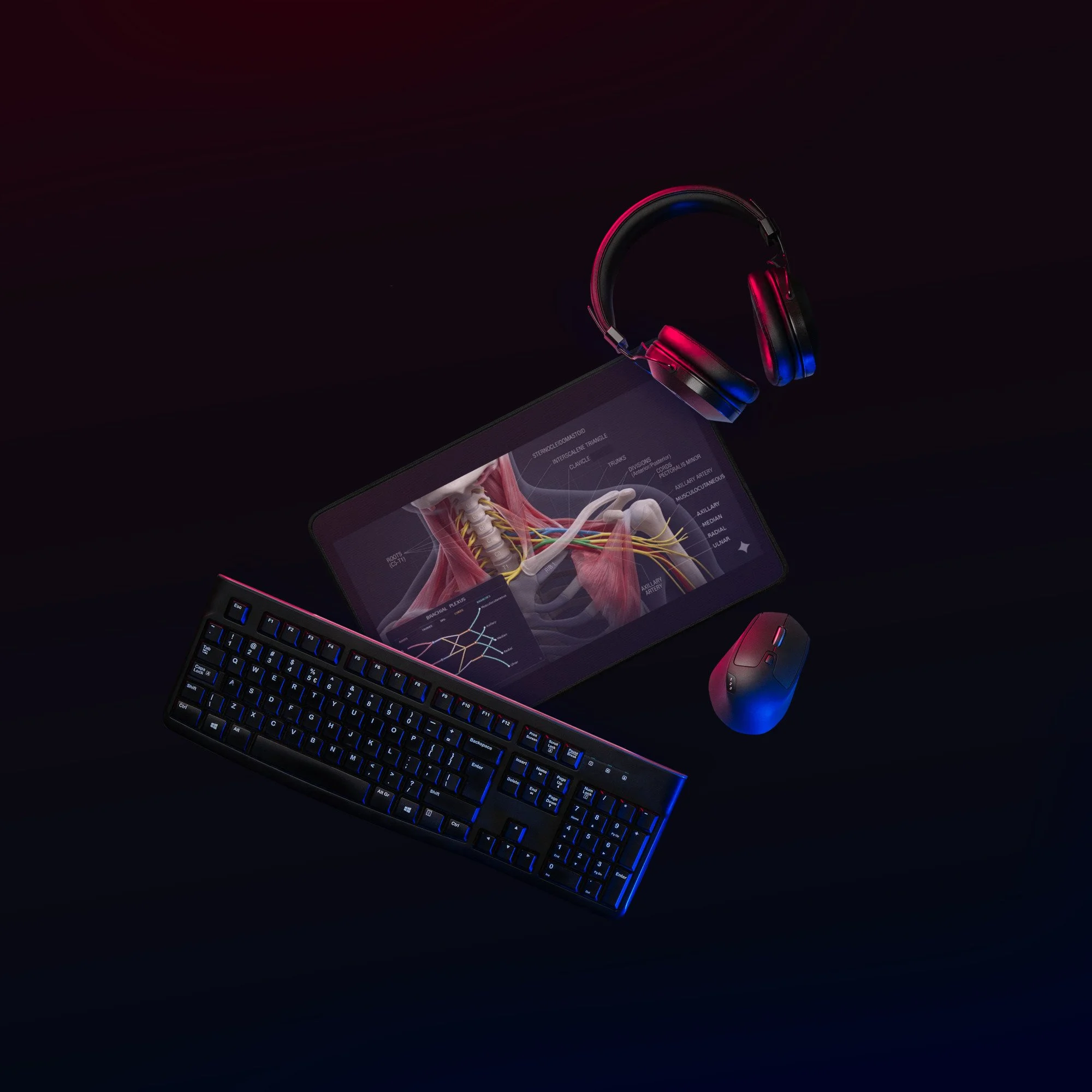 Brachial Plexus Desk Mat
