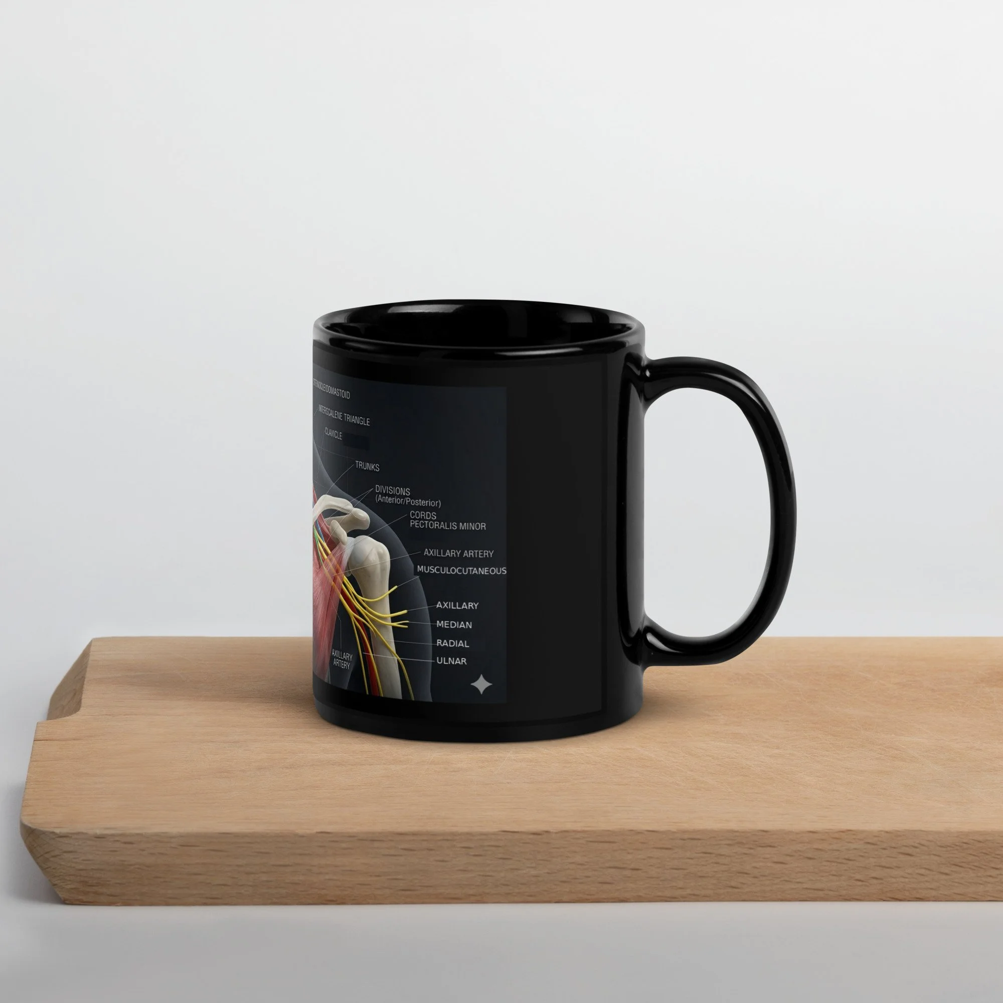 Brachial Plexus Black Glossy Mug