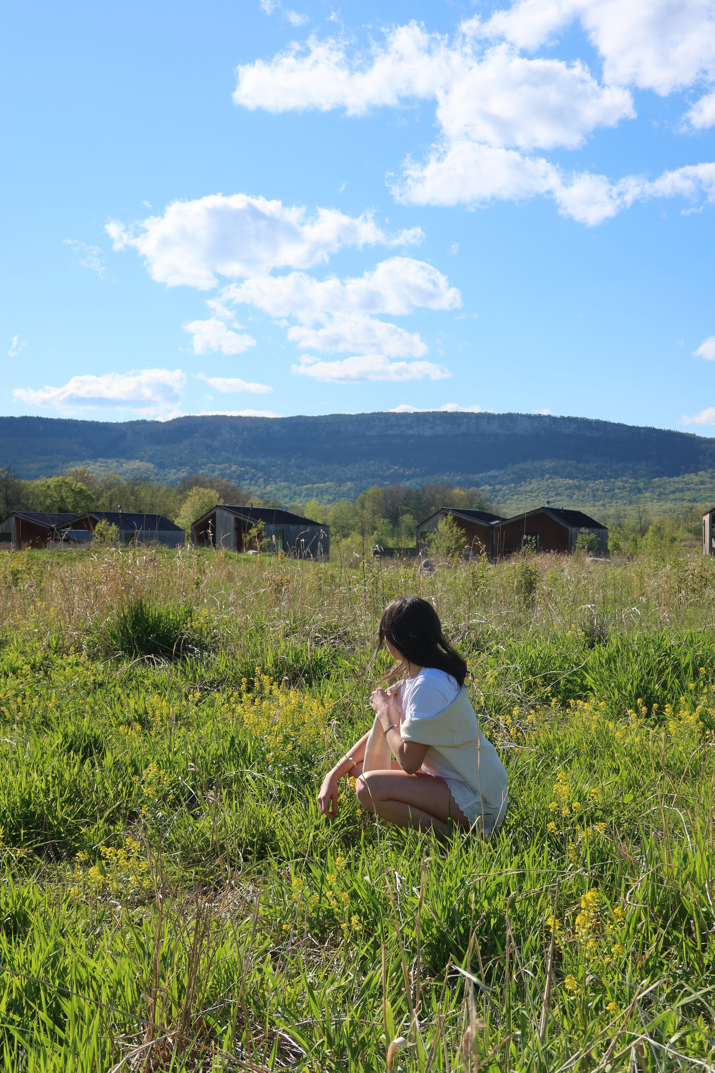 Wildflower Farms, Hudson Valley