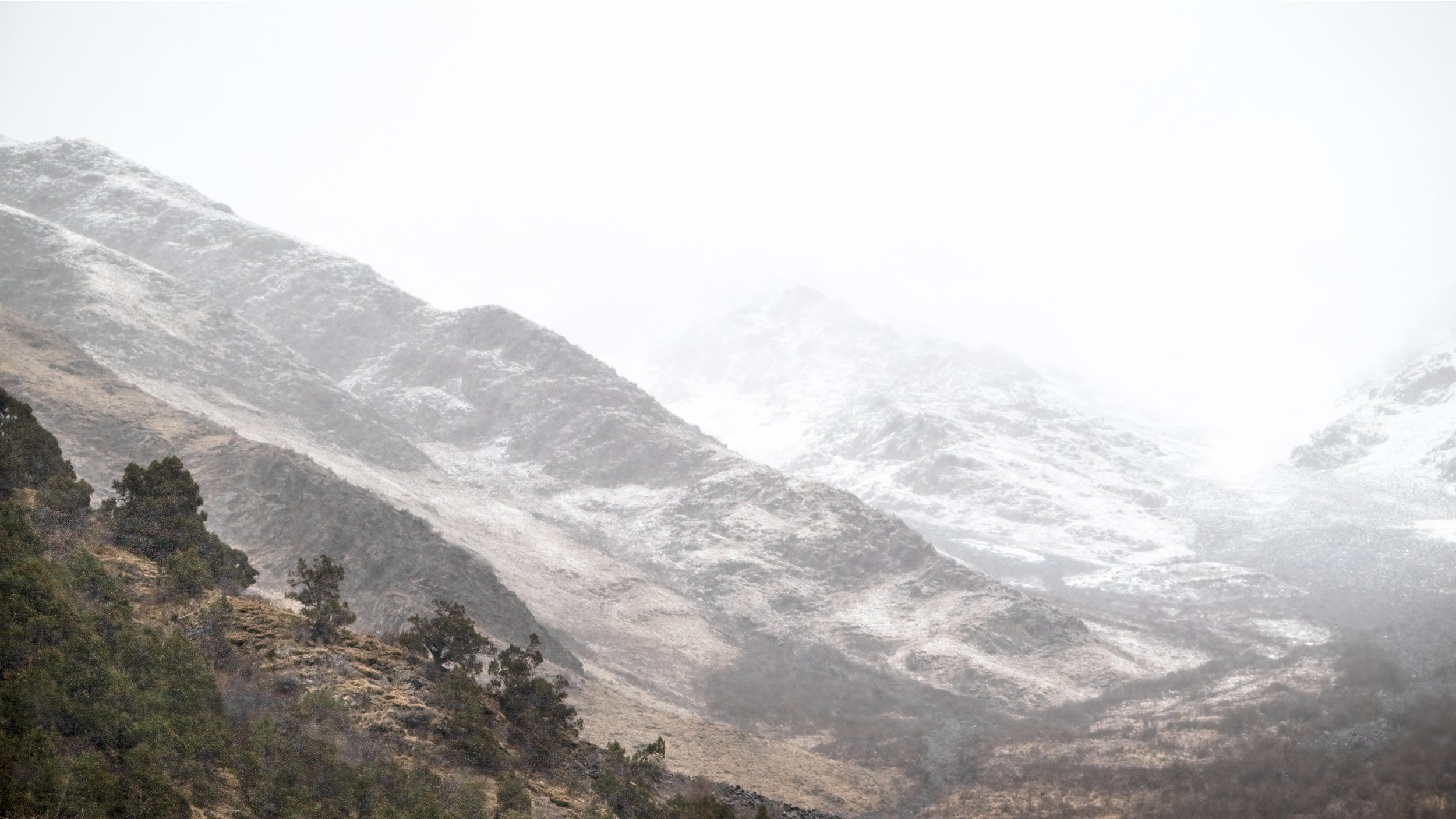 Snow-capped peaks and lush green mountain ranges create a striking, contrasting view of Sanjiangyuan, Yushu in spring.