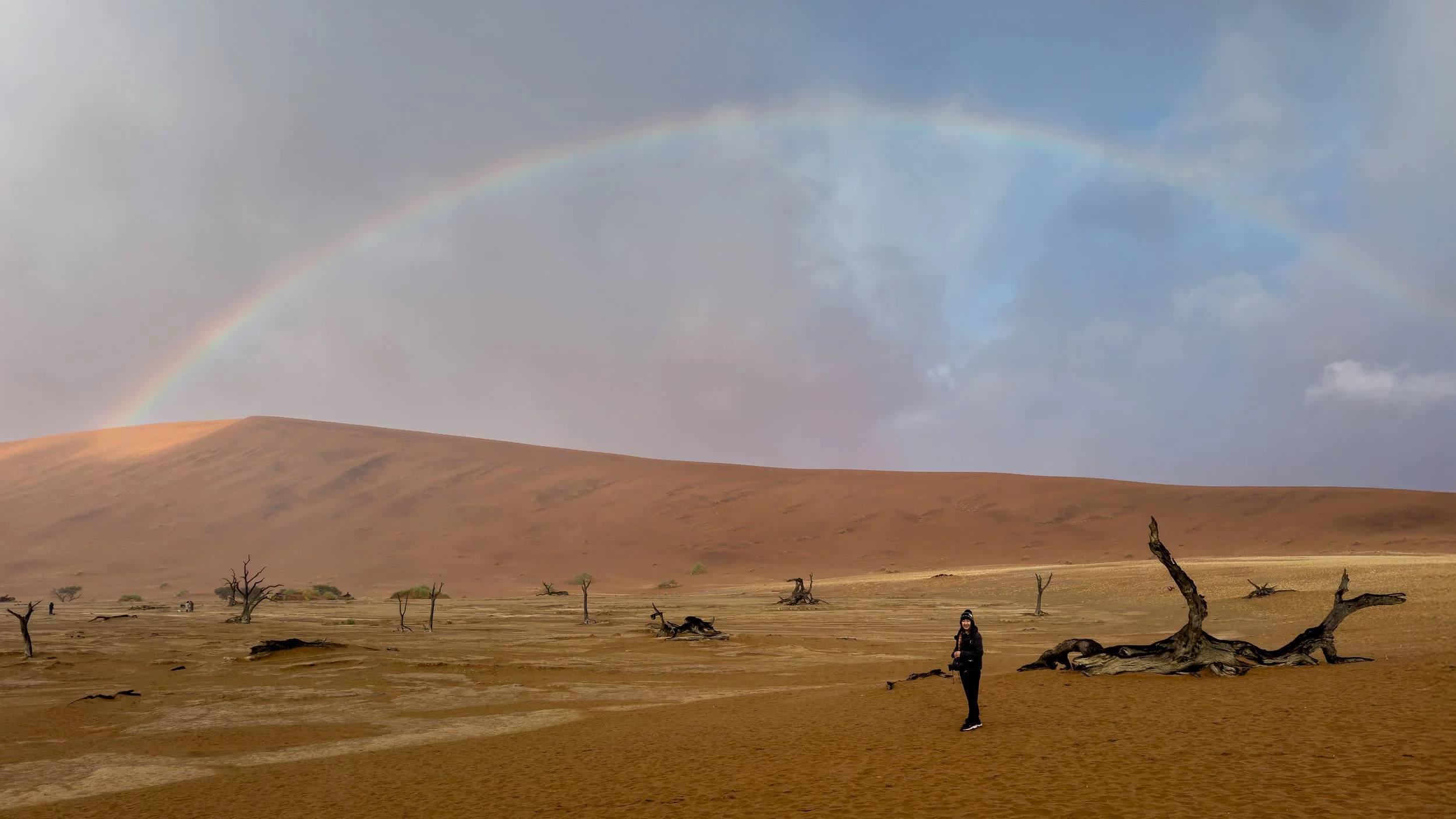 A person standing in a dry, barren landscape with leafless trees, a large brown hill, and a rainbow in the sky.