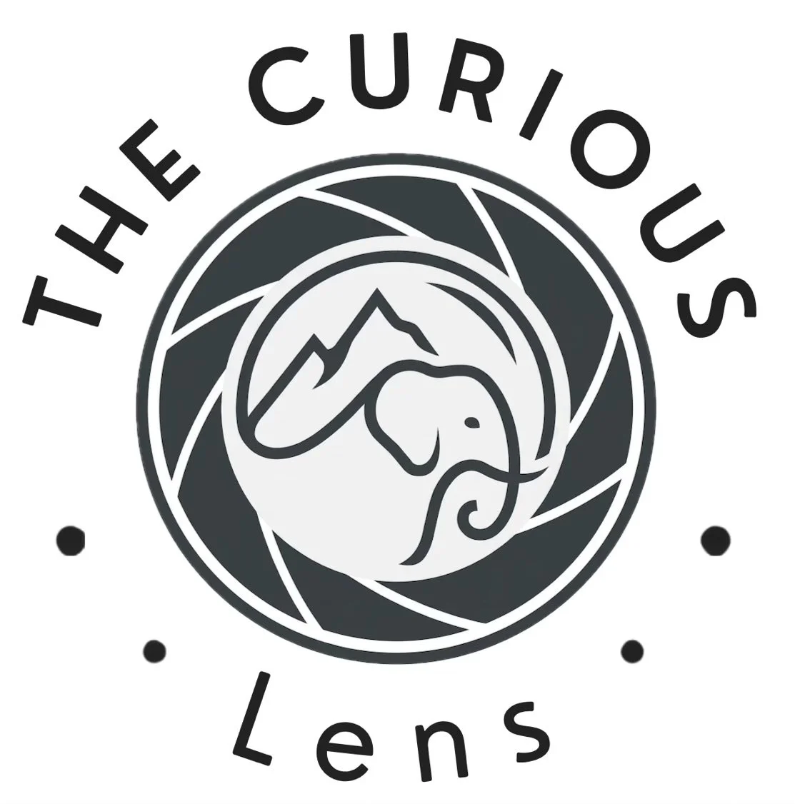 THE CURIOUS LENS