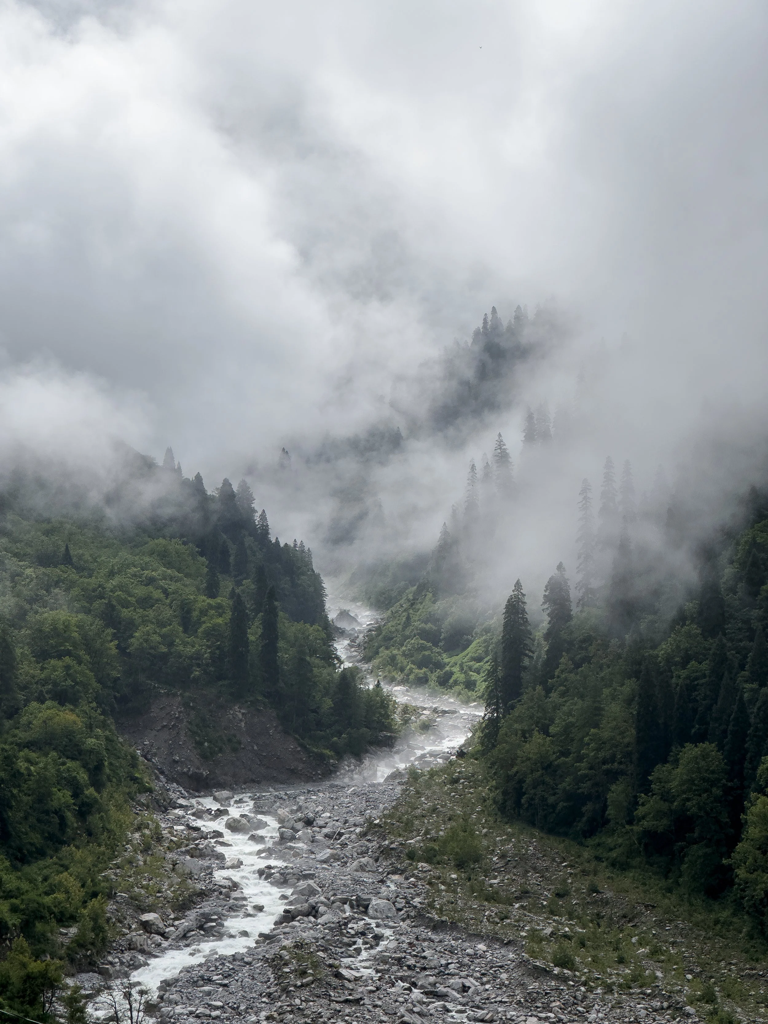 view along the trek to the Valley of Flowers