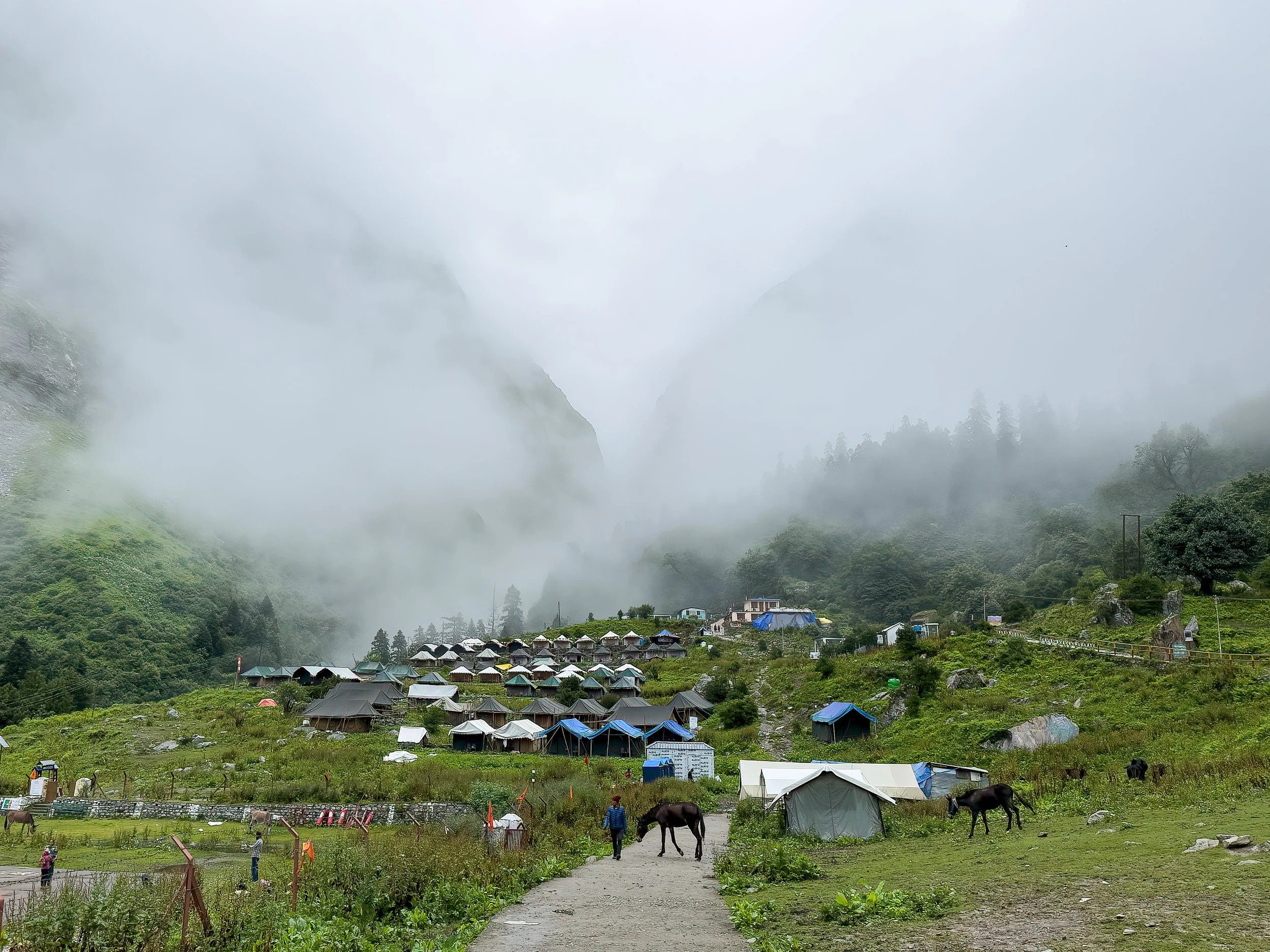 our base camp at Valley of Flowers