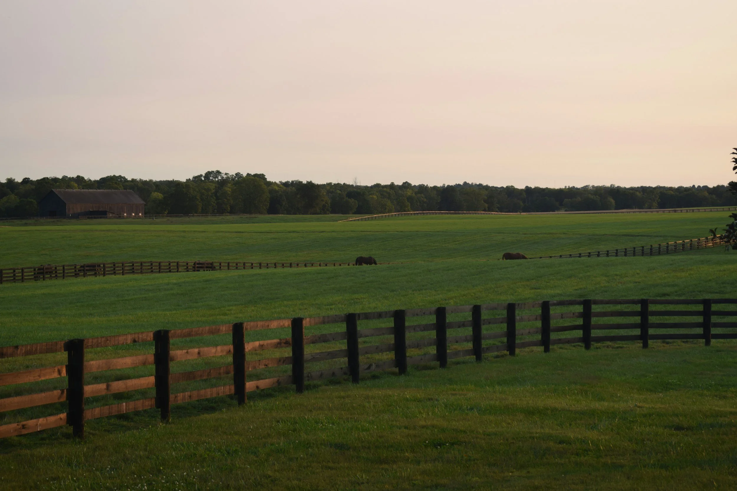 A wide view of a rural landscape with green fields, a wooden barn, and trees in the background under a pale sky, with a wooden fence in the foreground and horses grazing.