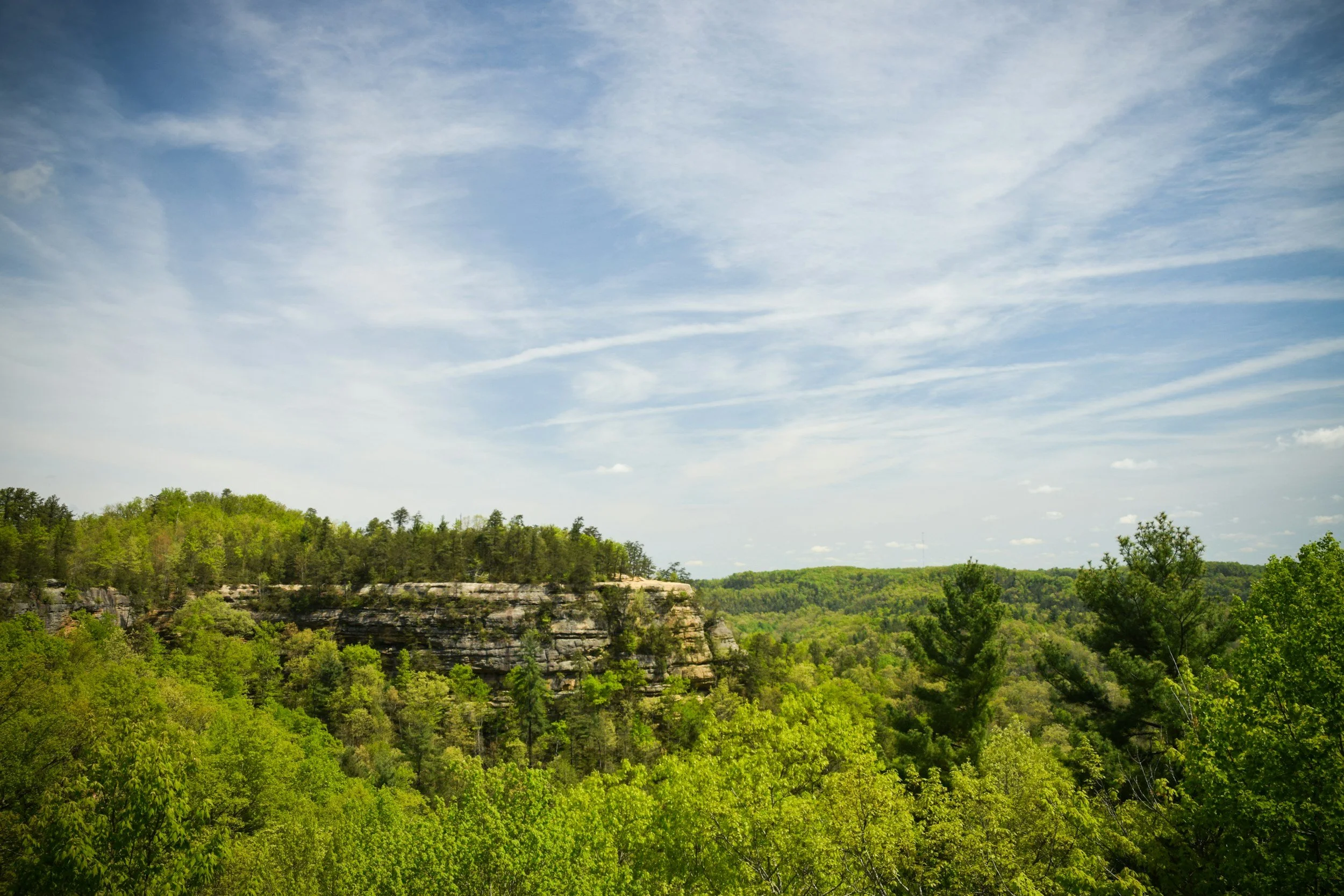 A lush green forest with a rocky cliff in the distance under a partly cloudy sky.
