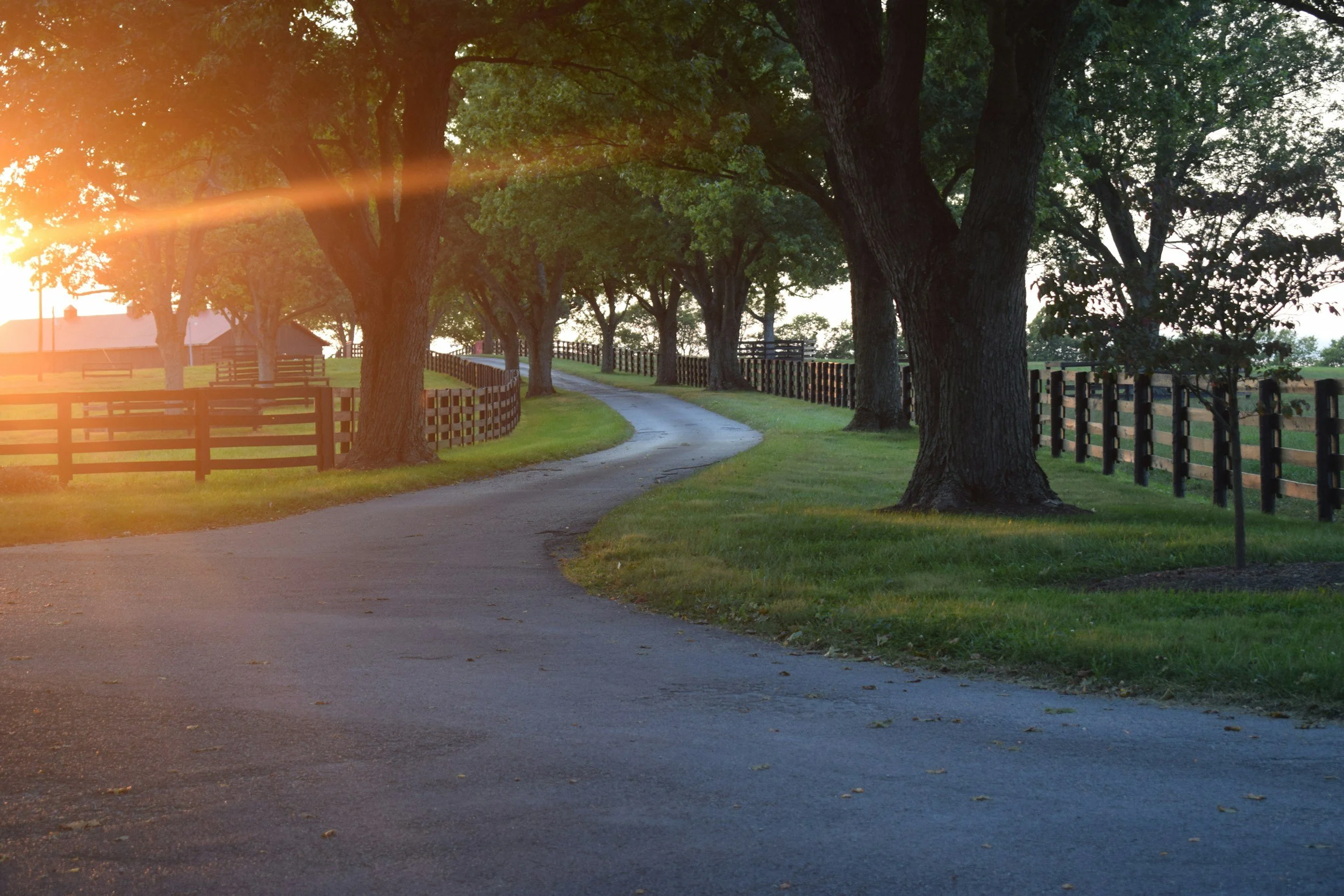 A winding dirt road lined with large trees and wooden fences on either side during sunset, casting a warm glow and long shadows.