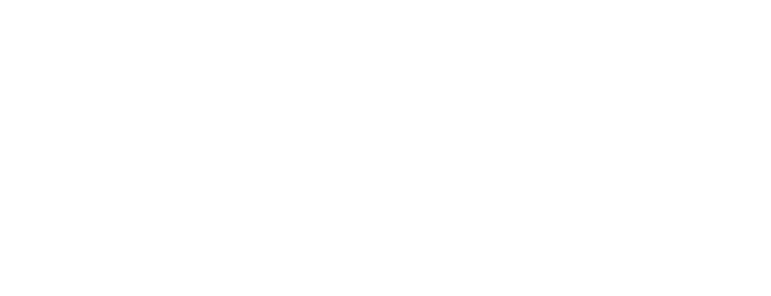 STARBORNE INTERNATIONAL