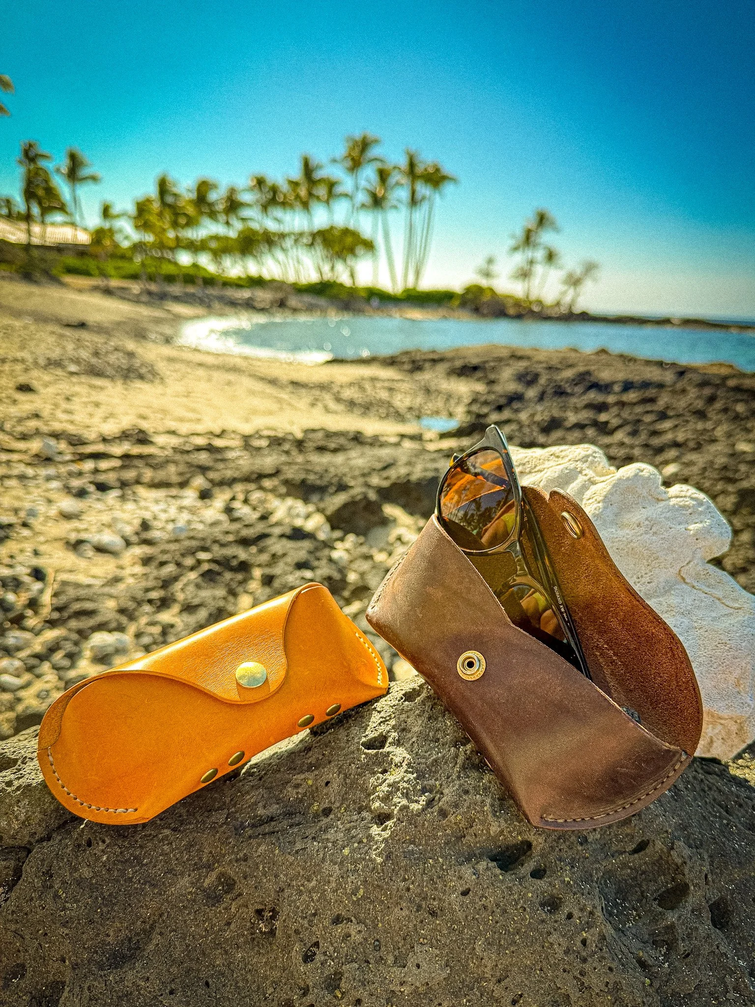 Beach scene with a pair of sunglasses and two leather bags resting on rocks, with palm trees and a sandy shoreline in the background.