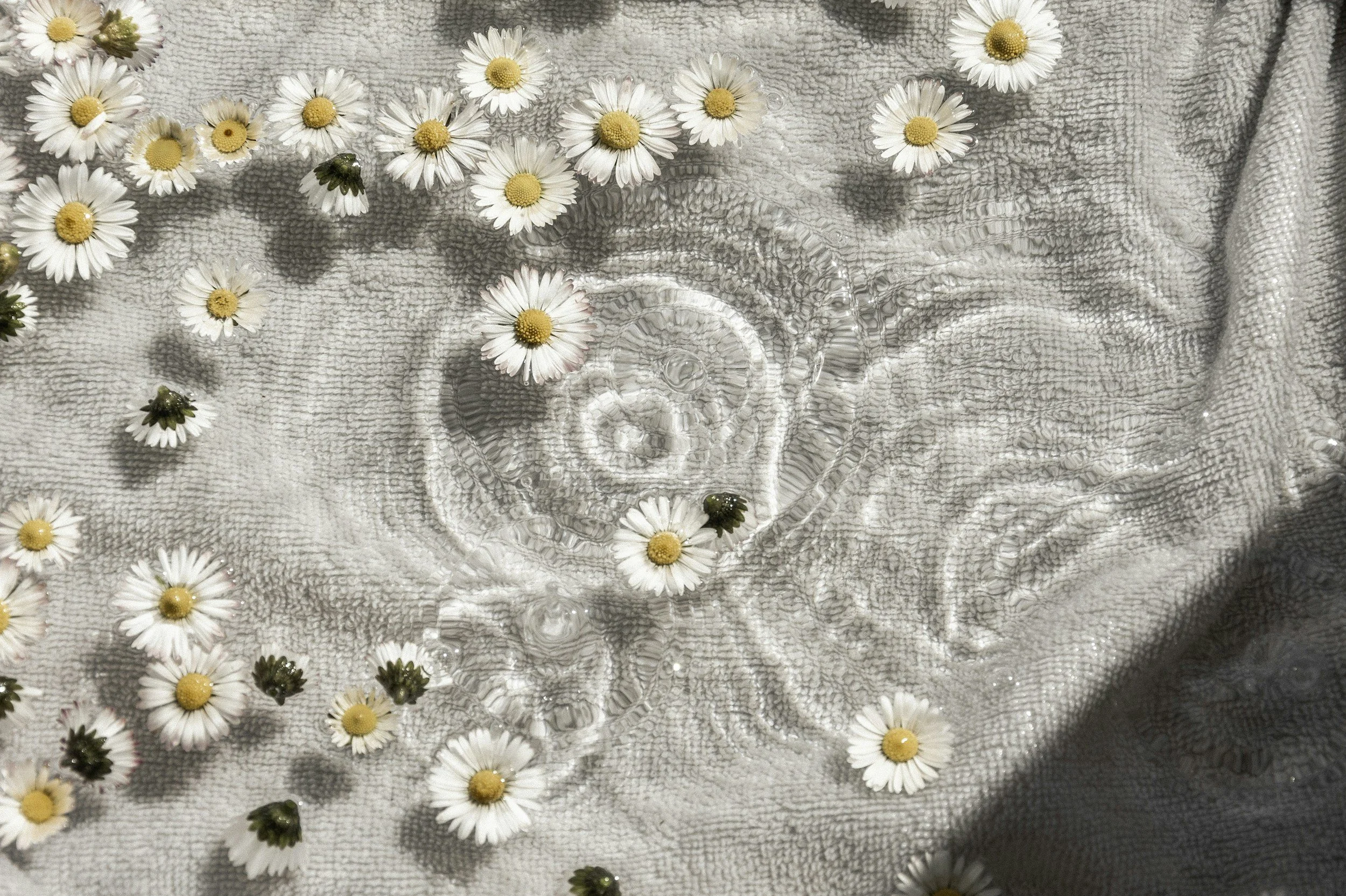 A clear glass bowl with a daisy flower design is placed on a textured gray towel. White daisies with yellow centers are scattered around the bowl, some overlapping it, creating a floral arrangement on the towel.