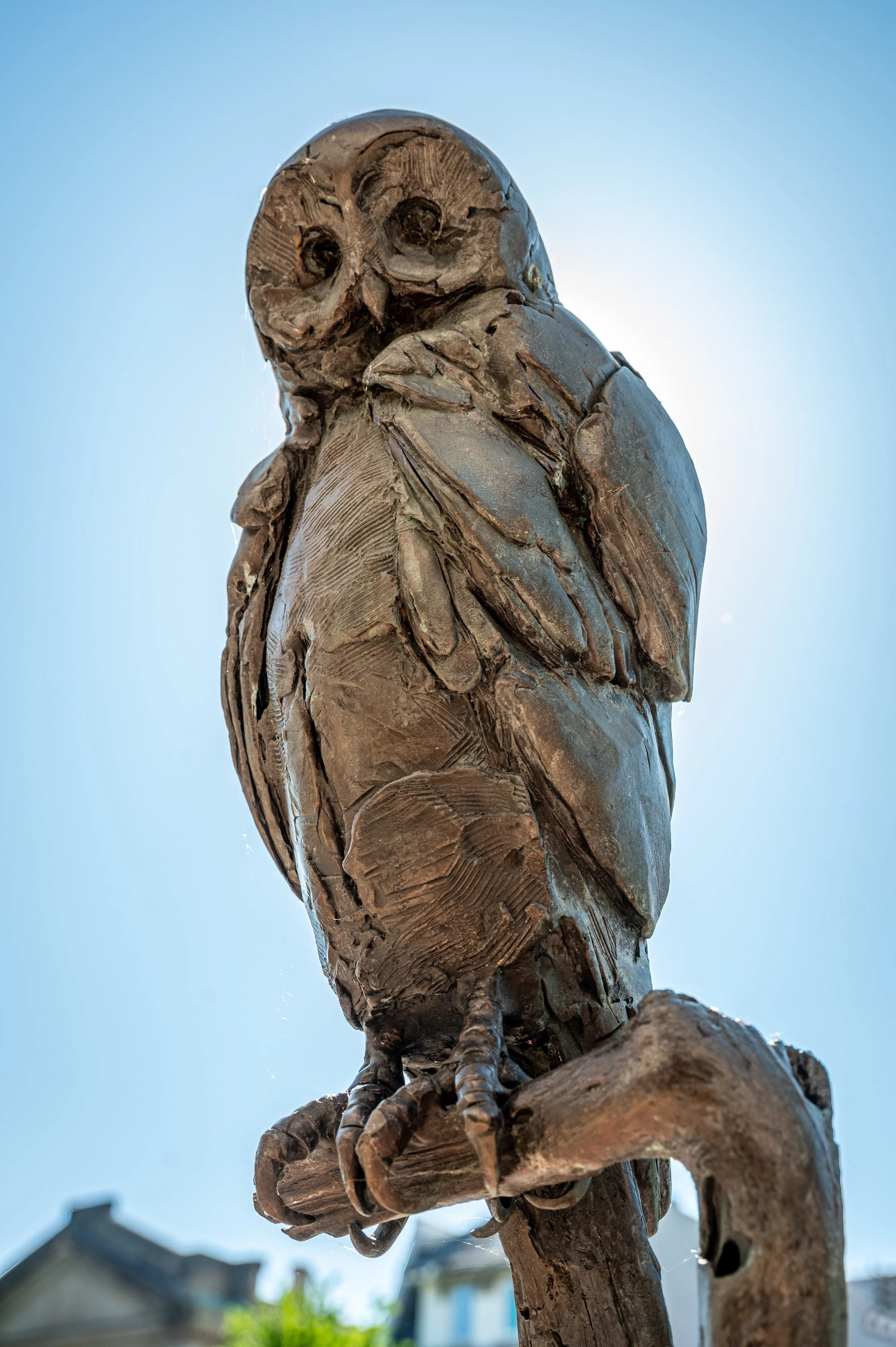 GregoryStone_Owl_1.jpg