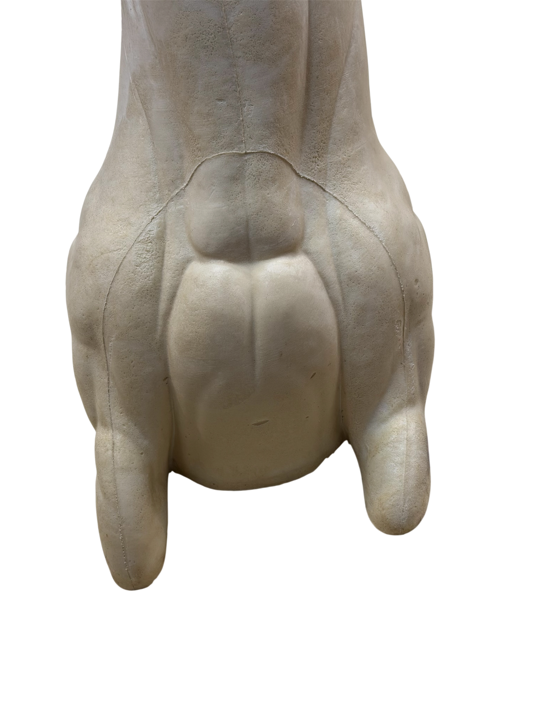 WTSSOR 4.png