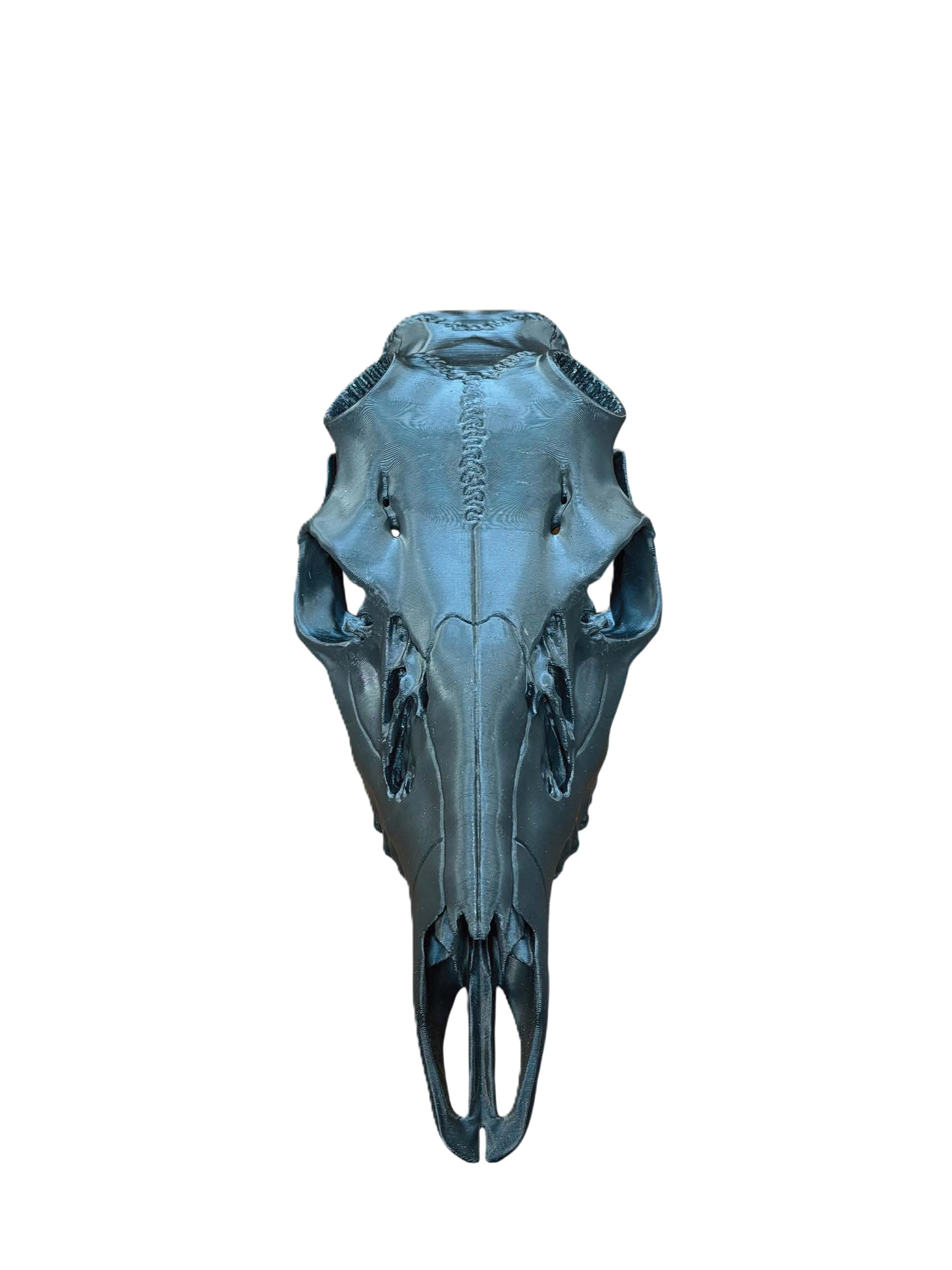black front no back.png
