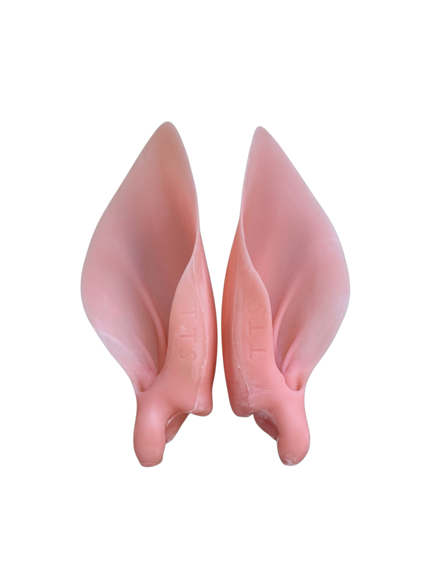 Whitetail Competition Earliners          5 7/8" x 4 1/4"