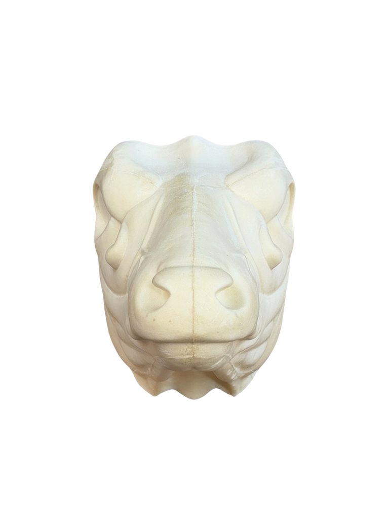 axis changeout head front view.png