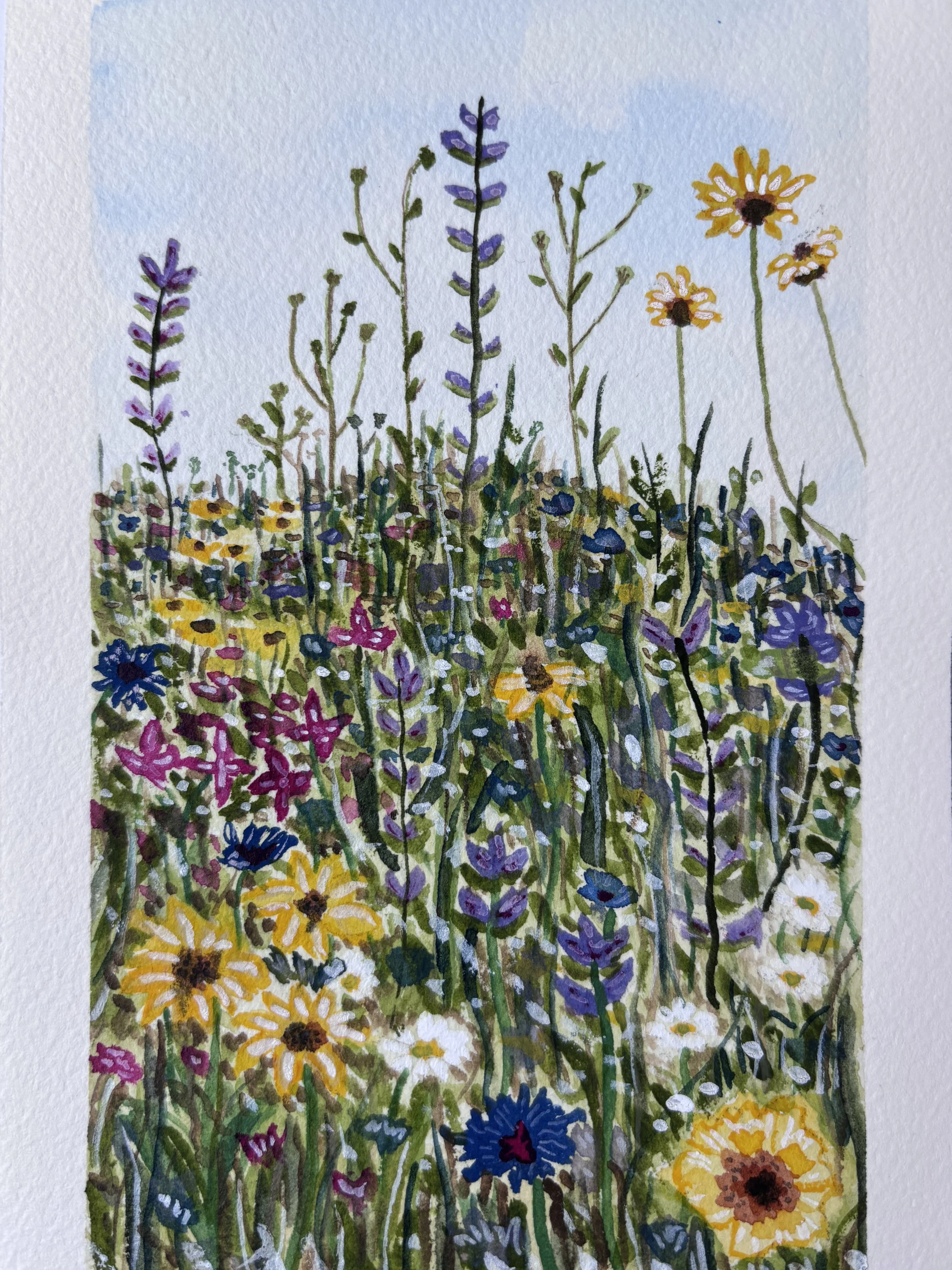 Wildflowers #3 - 5x8,  $150,  Available
