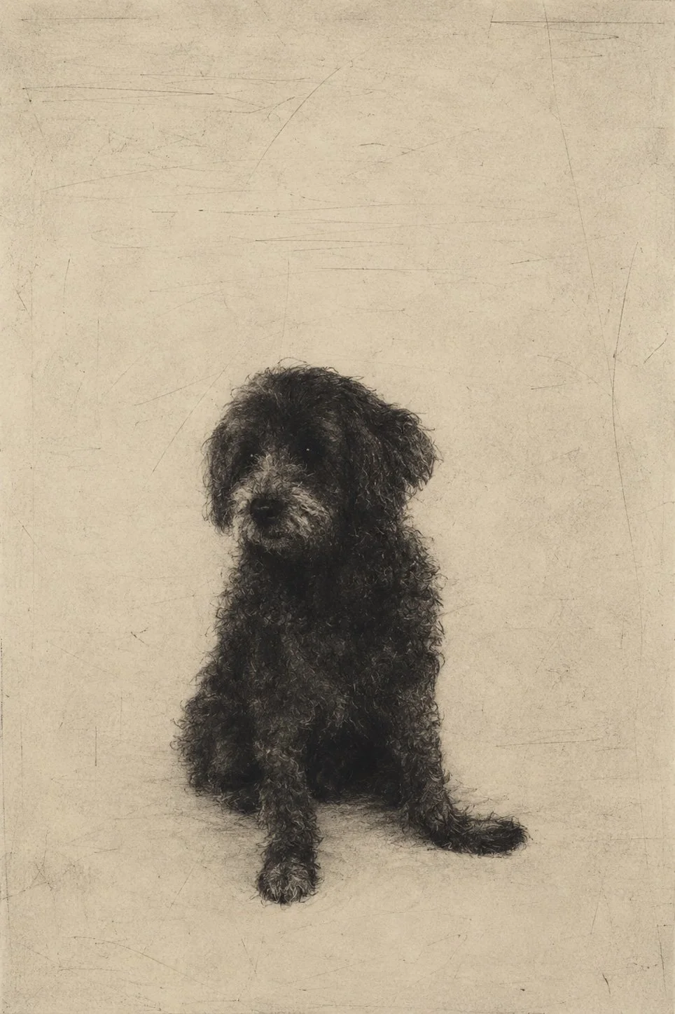 Line drawing of Pat, the dog behind the Pat the Dog Productions name.
