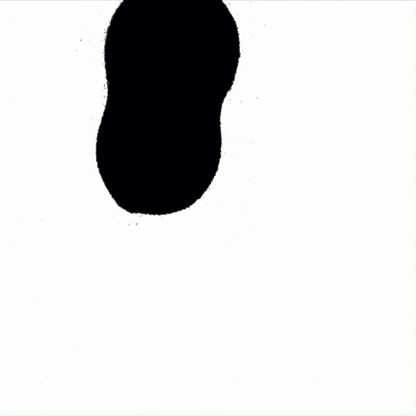 arty+5.gif