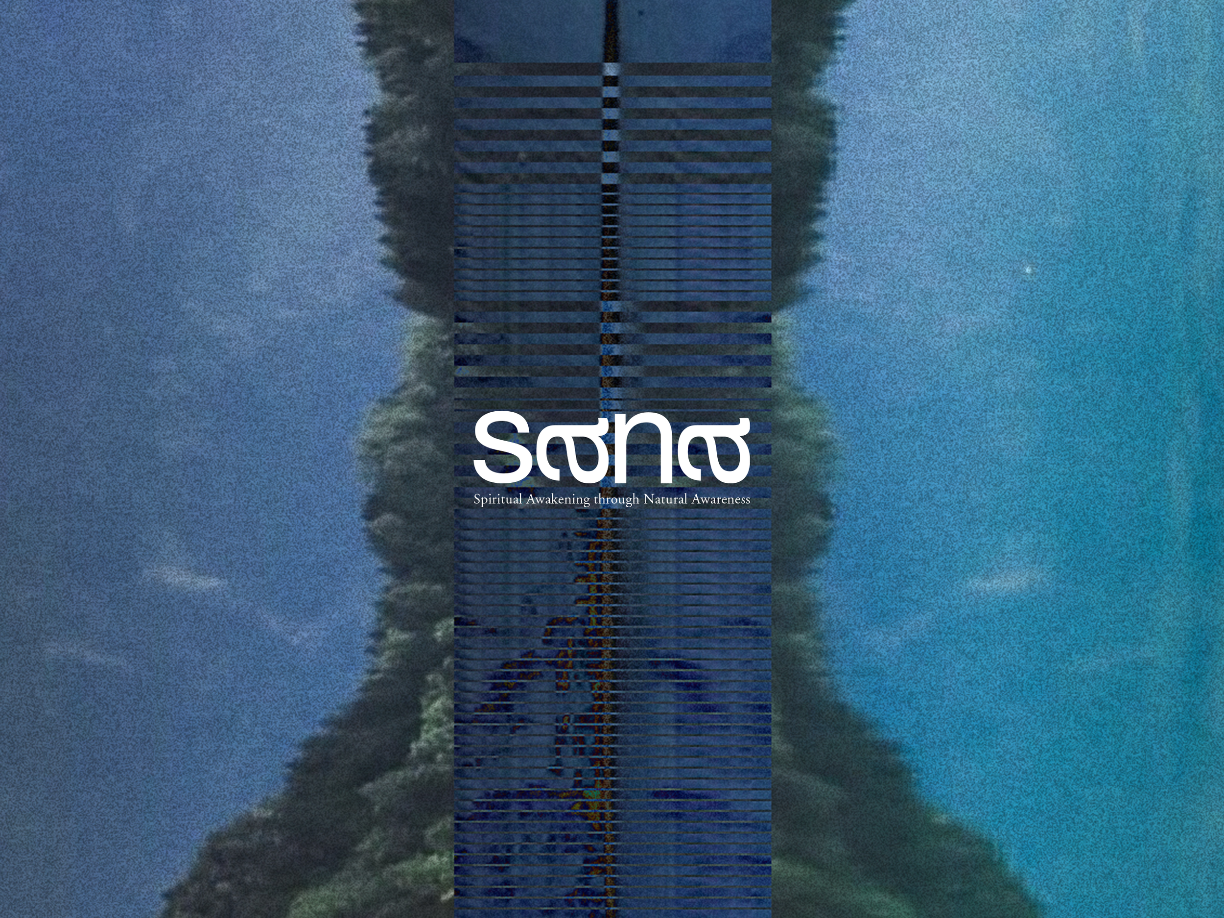 the_pond_sana.png
