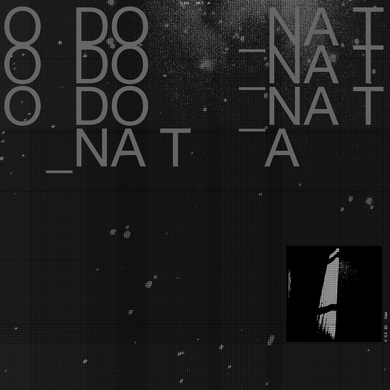 image-asset.png