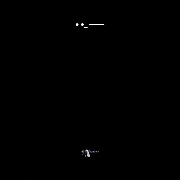ezgif-6-54fb72c6e775.gif