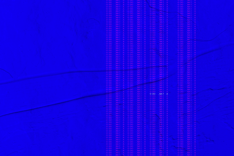 odonata.gif