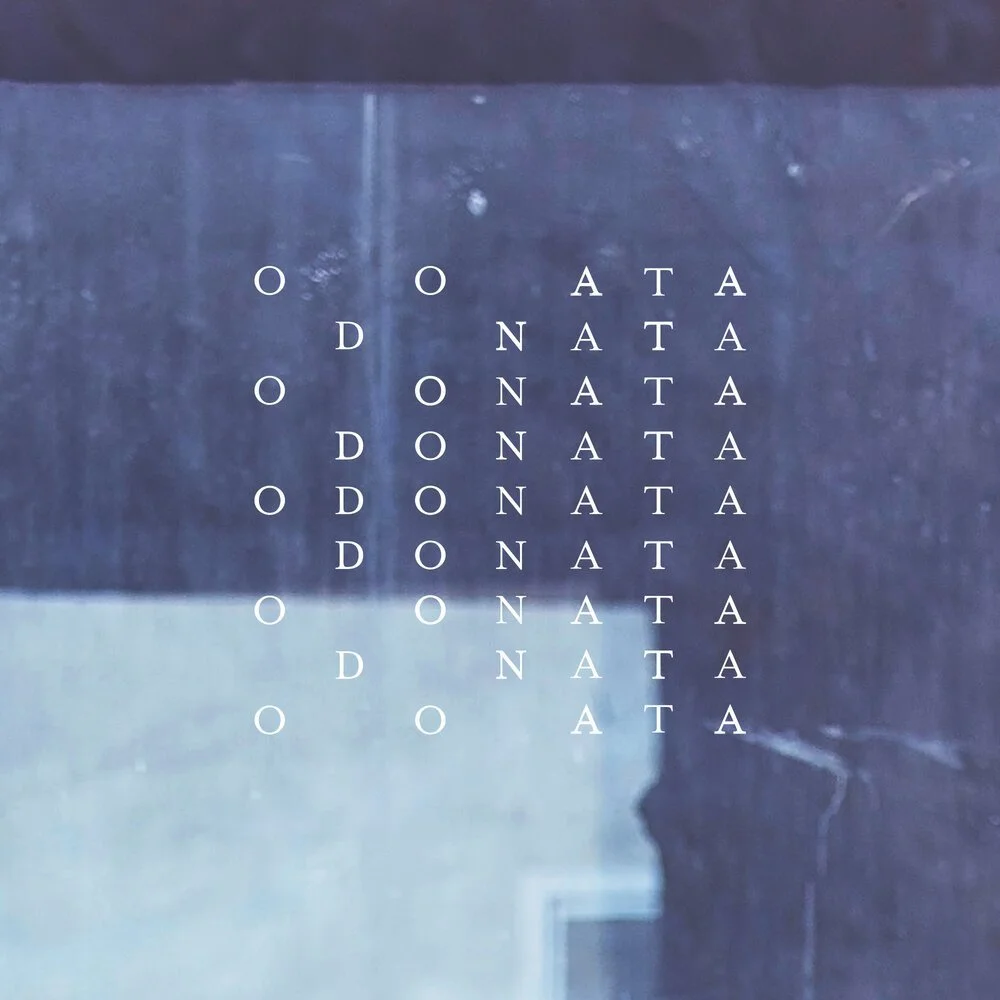 odonata_3.jpg