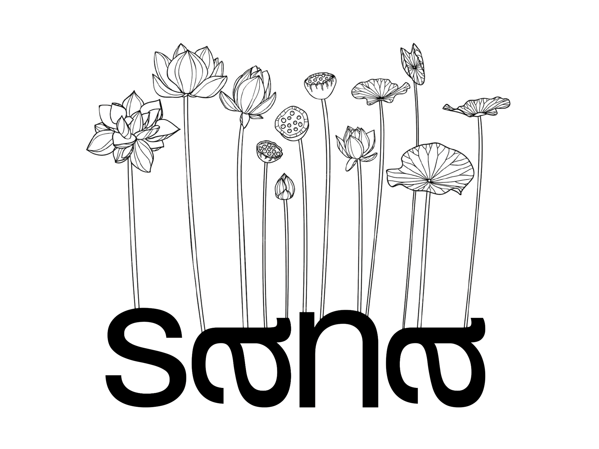 sana_logo_2.png