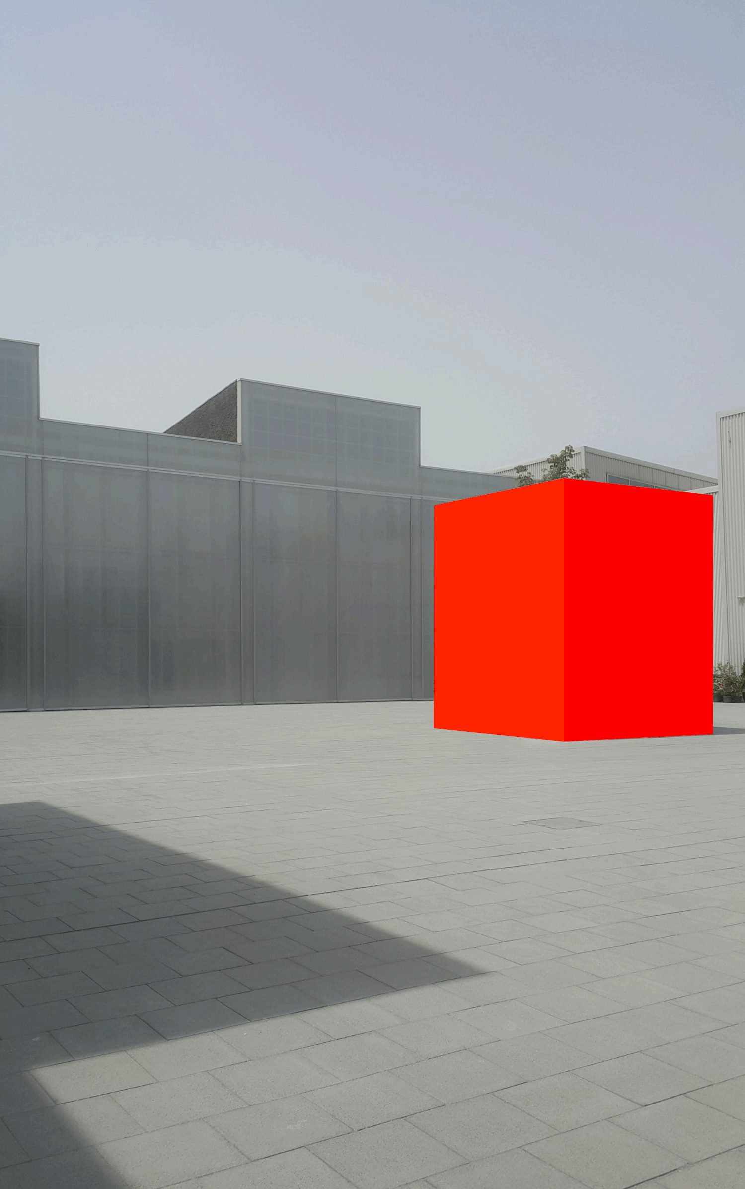 image-asset.gif