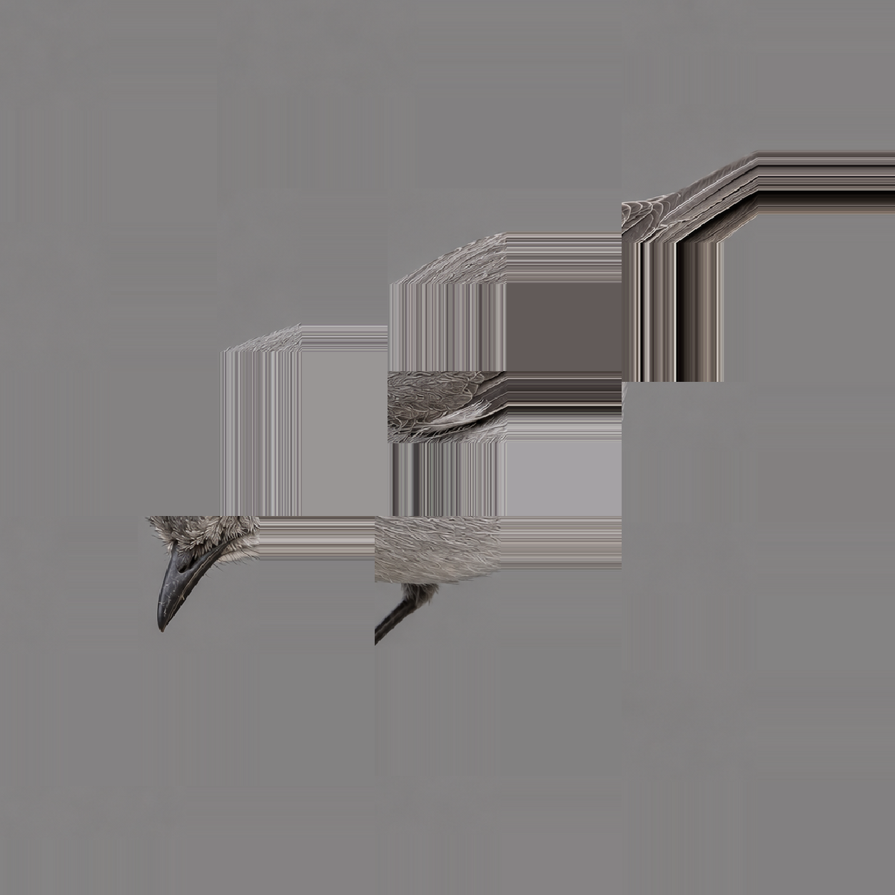noisecam-fullres-14.png