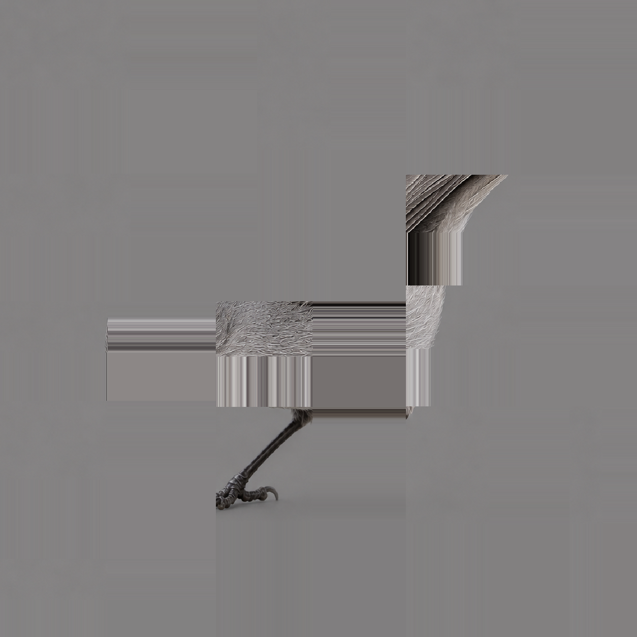 noisecam-fullres-12.png
