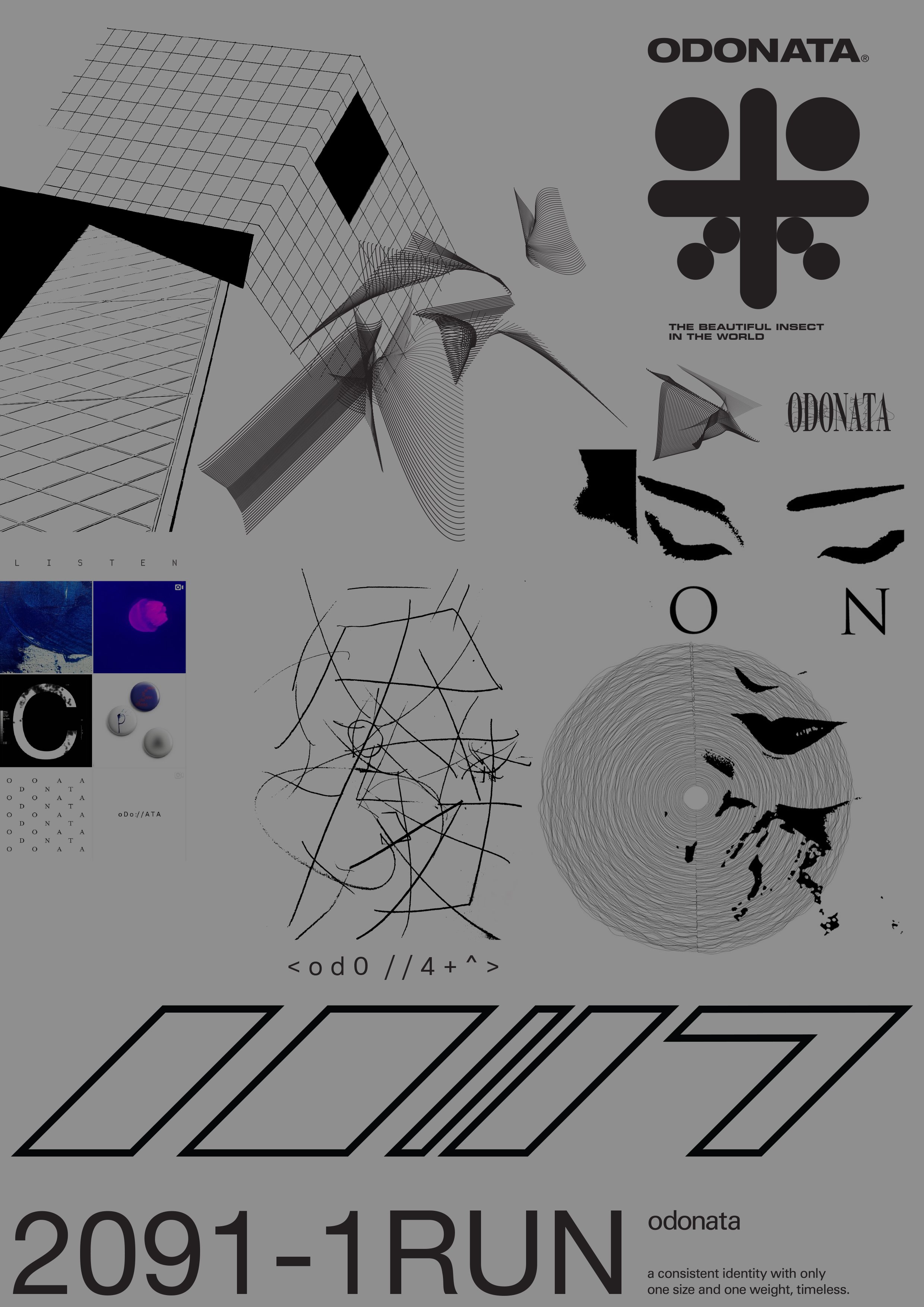 Odonata_Poster.jpg