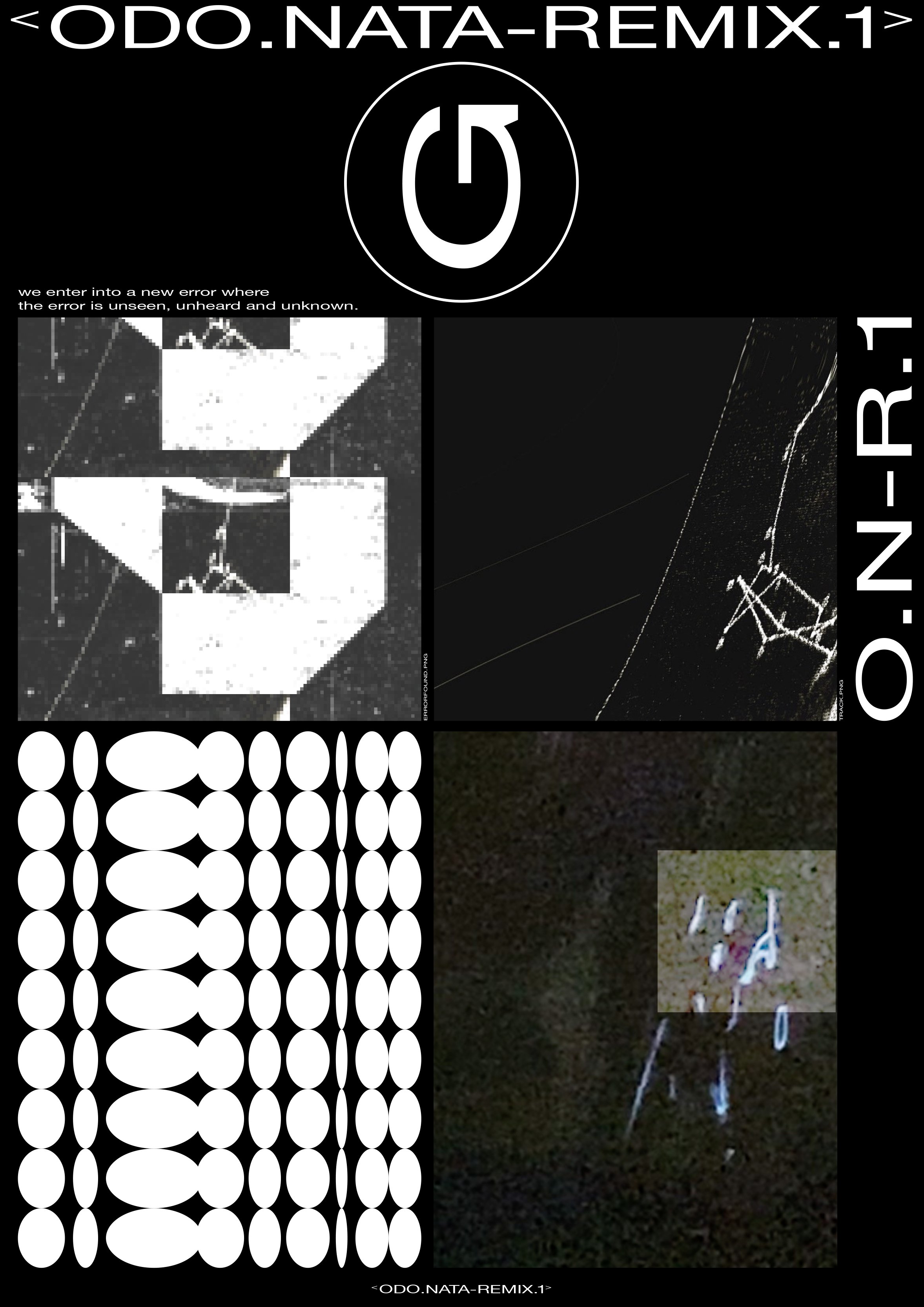 odonata_2.jpg