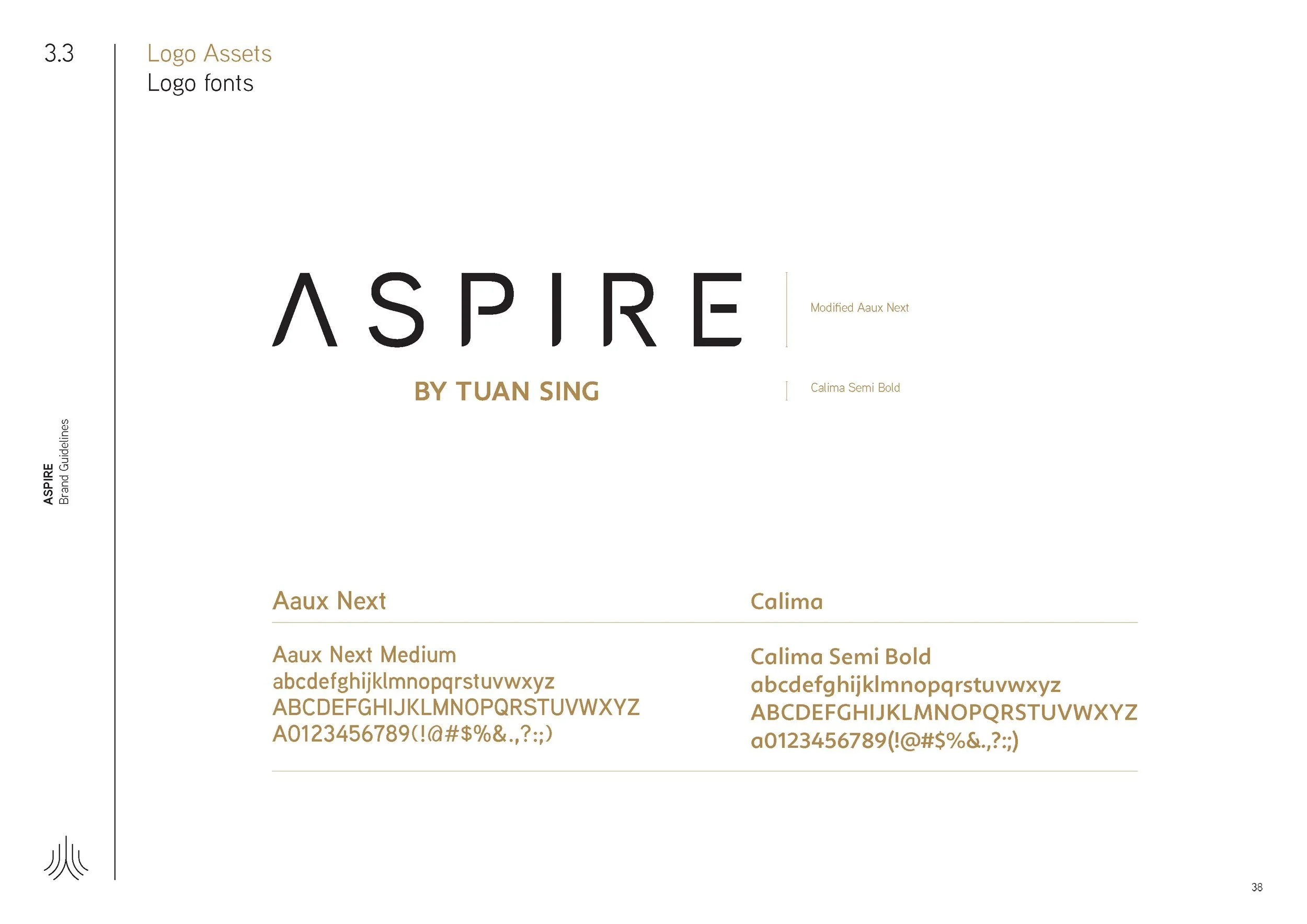 Aspire_BrandGuideline_Final_Page_38.jpg