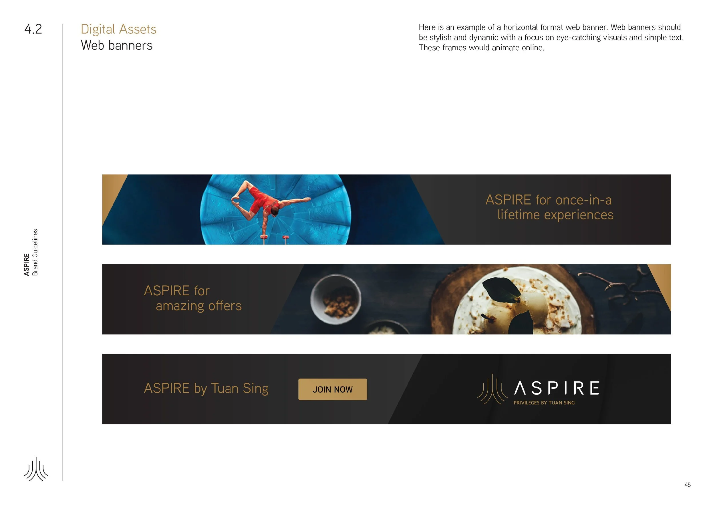 Aspire_BrandGuideline_Final_Page_45.jpg