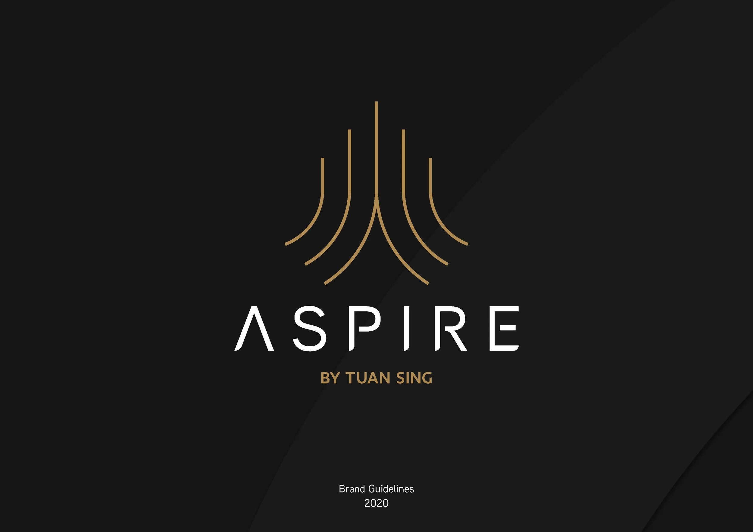aspire by tuan sing