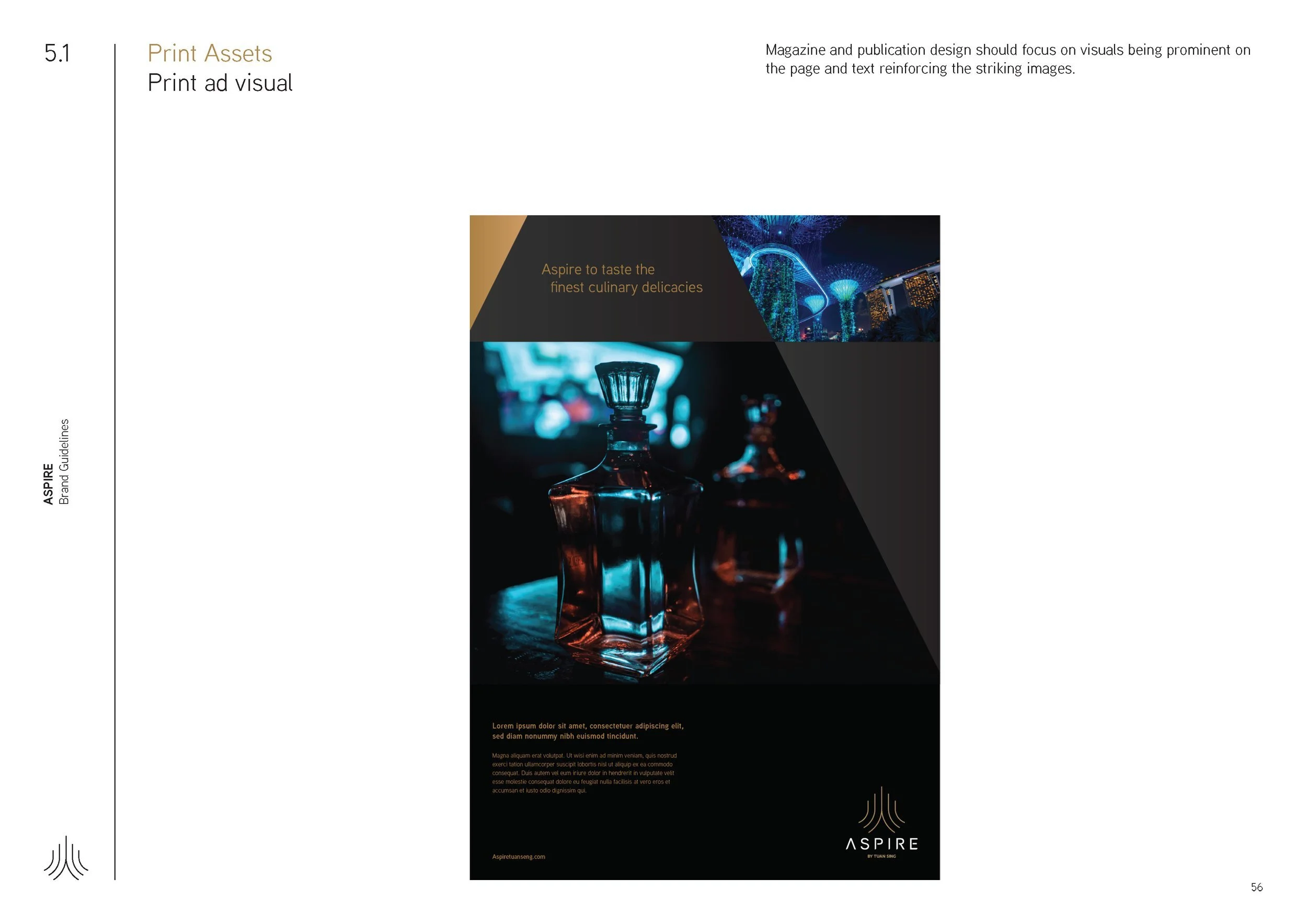 Aspire_BrandGuideline_Final_Page_56.jpg