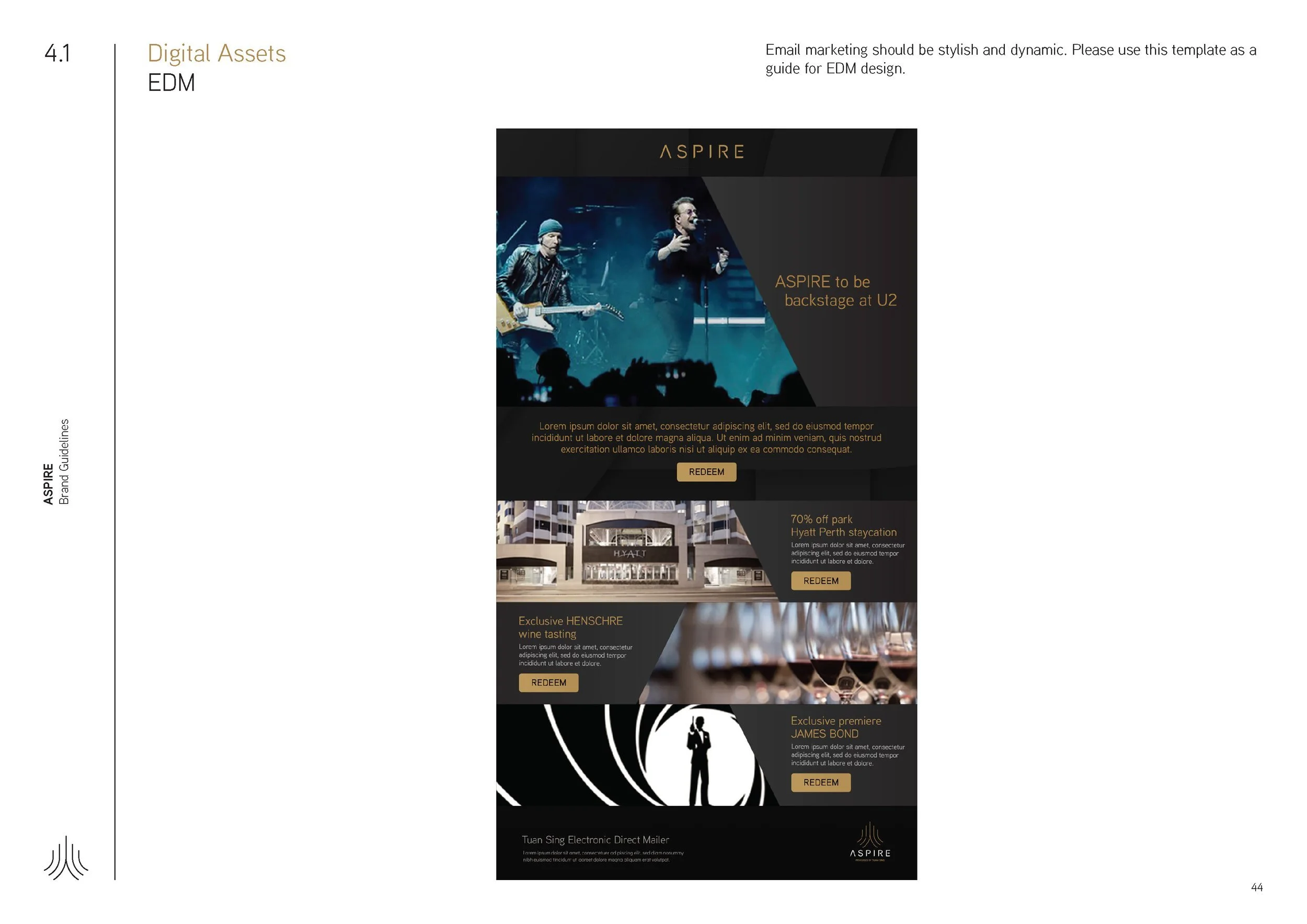 Aspire_BrandGuideline_Final_Page_44.jpg