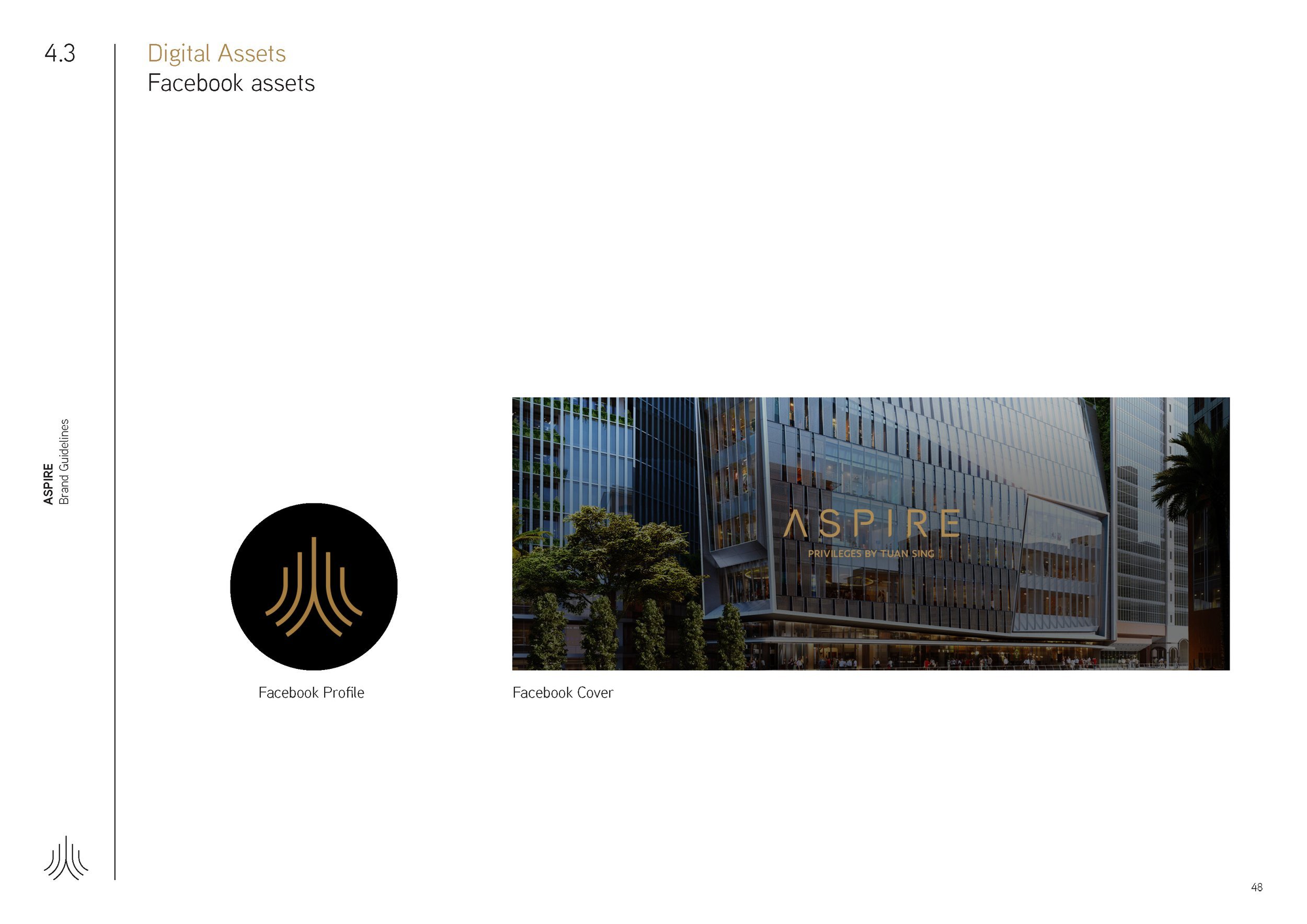 Aspire_BrandGuideline_Final_Page_48.jpg